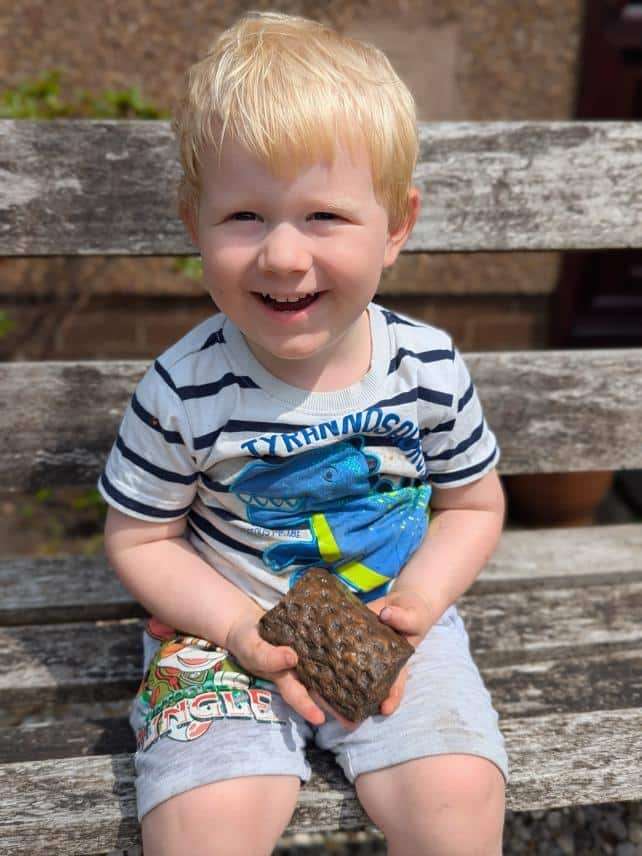 Two-year-old-Fletcher-5a2de00eedbb34c3e779d7181162b222.jpg