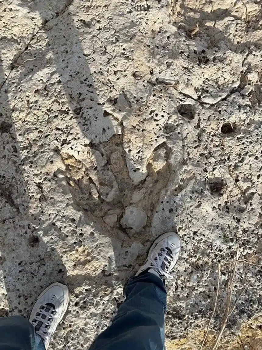 A-photo-of-the-three-clawed-footprint-shows-it-is-a-bit-bigger-than-a-human-foot-ff18518c1bccee0cdf90b8e2a0aca8d1.webp