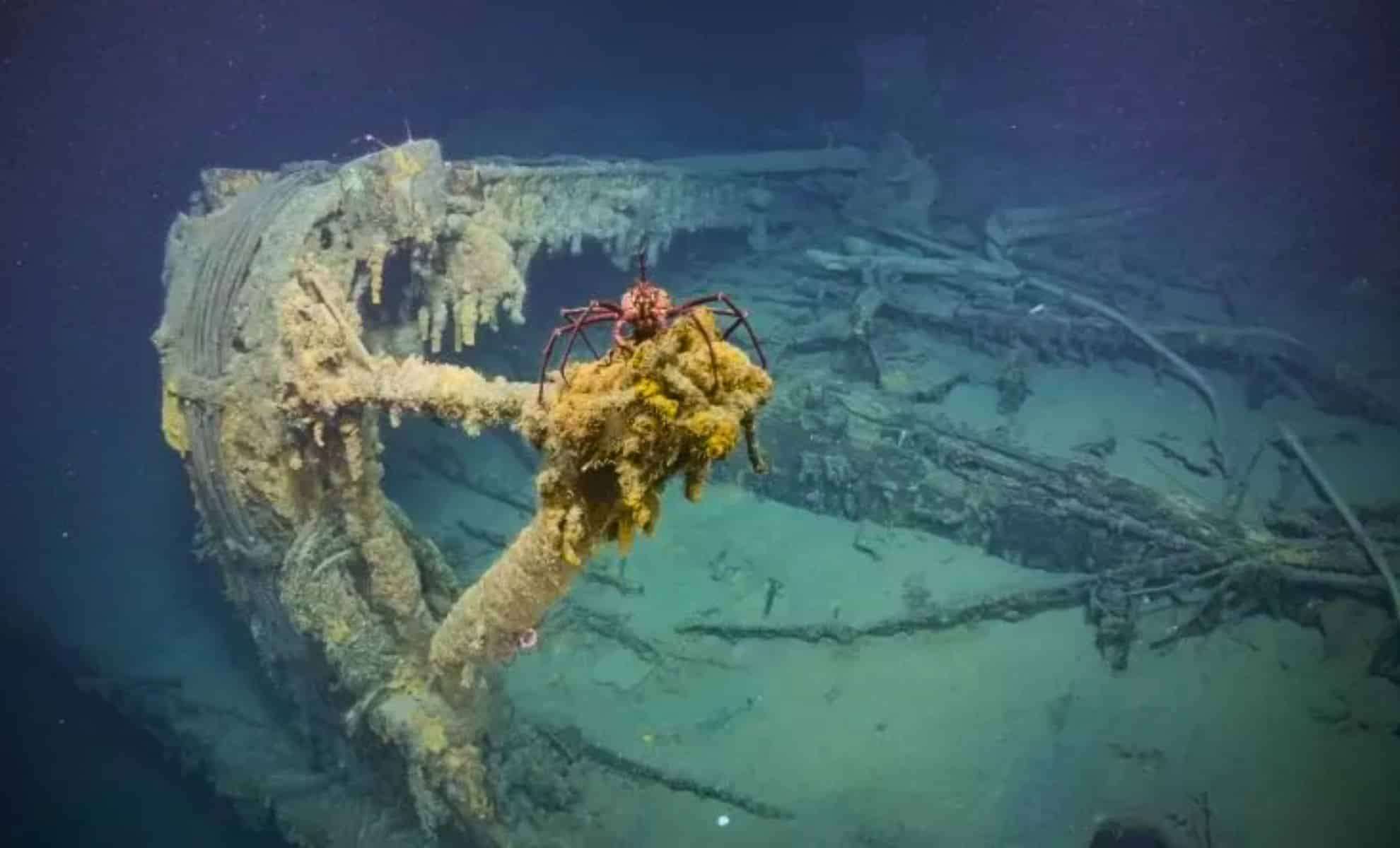 Credit-Ocean-Exploration-Trust-d4047154a27cc511e44dd84a84e85d22.jpg
