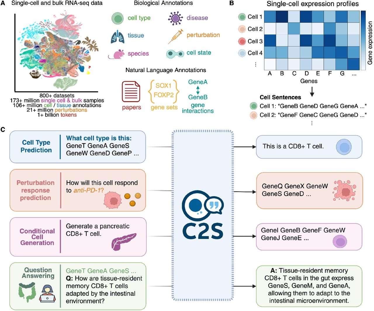 a-flaw-at-last-ai-just-detected-something-in-cancer-cells-that-doctors-overlooked-for-years-42b53f79736c2f39799fb19ad452719b.jpeg