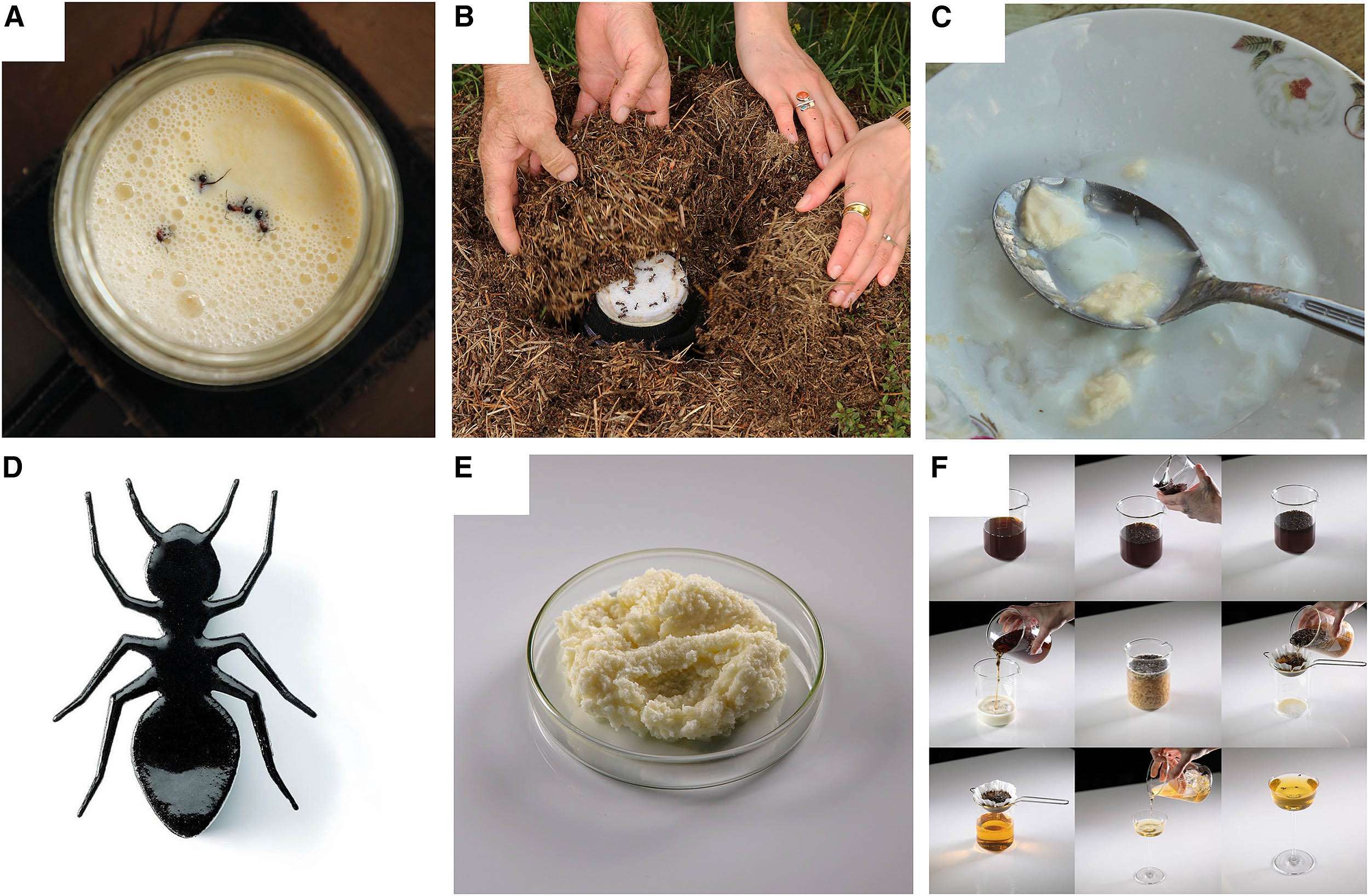 Ants-in-your-yogurt_fermenting-milk_ancient-recipe_montage_Alchemist-217d83efeca3a7a59b6feec50acd0774.jpg