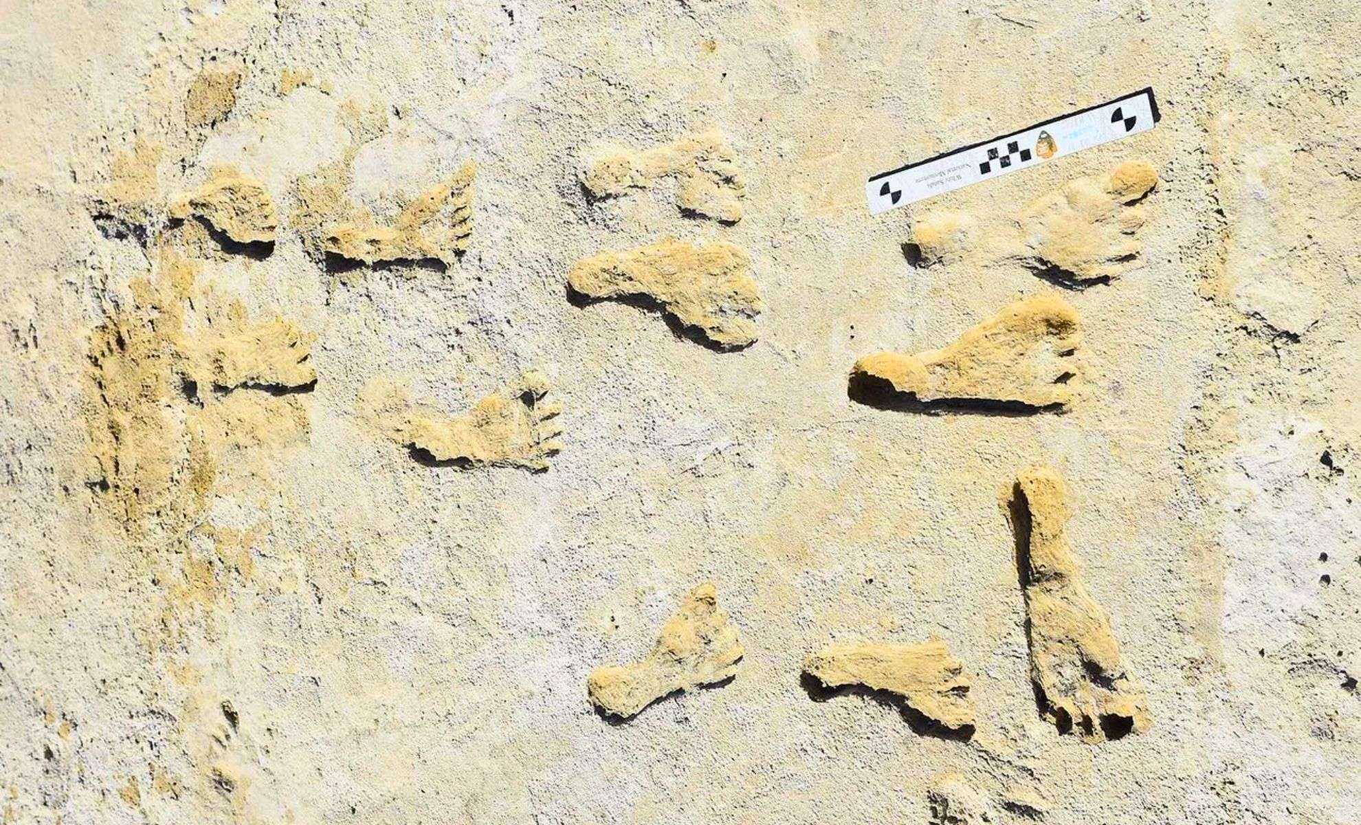 Some-of-the-White-Sands-footprints-1-a0cbe1d1bb8a6b1ed84d56b5a00b540a.jpg
