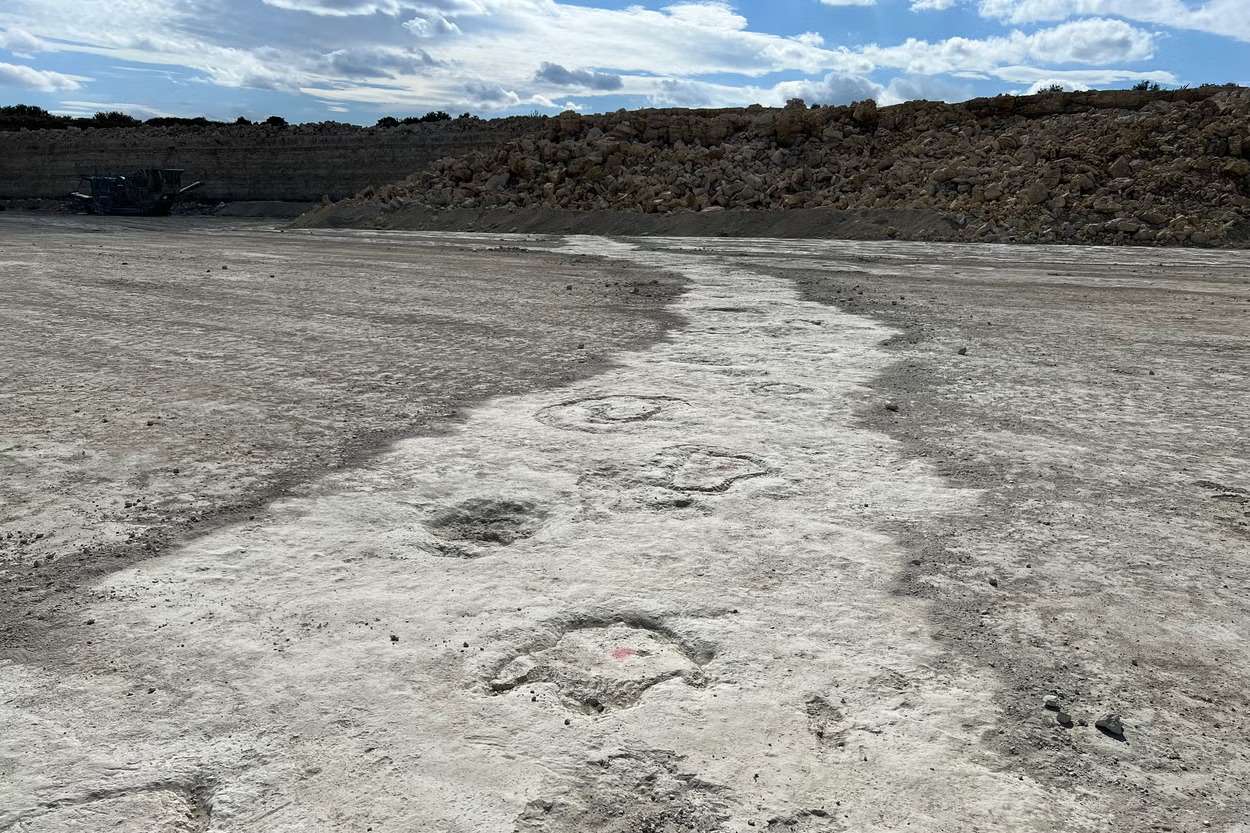 A-220-meter-long-dinosaur-trackway-unearthed-in-Oxfordshire-30b2a8b3e3cf6924cc77072ed55cc16f.jpg