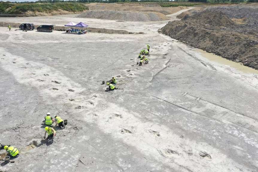 One-of-the-five-uncovered-trackways-was-left-by-a-nine-meter-long-carnivorous-dinosaur-d61292ee68fe8574b8dfd1540d451995.jpg
