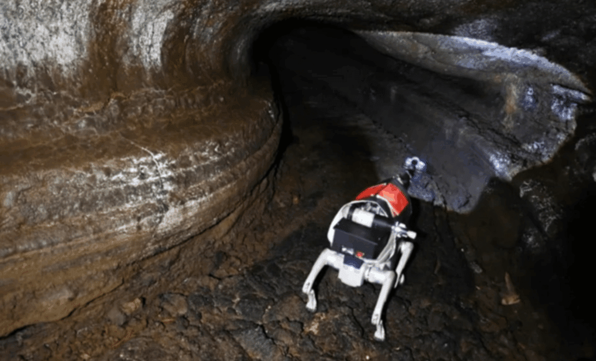 China Advances Lunar Exploration with Robotic Dogs in Moon-Like Conditions 