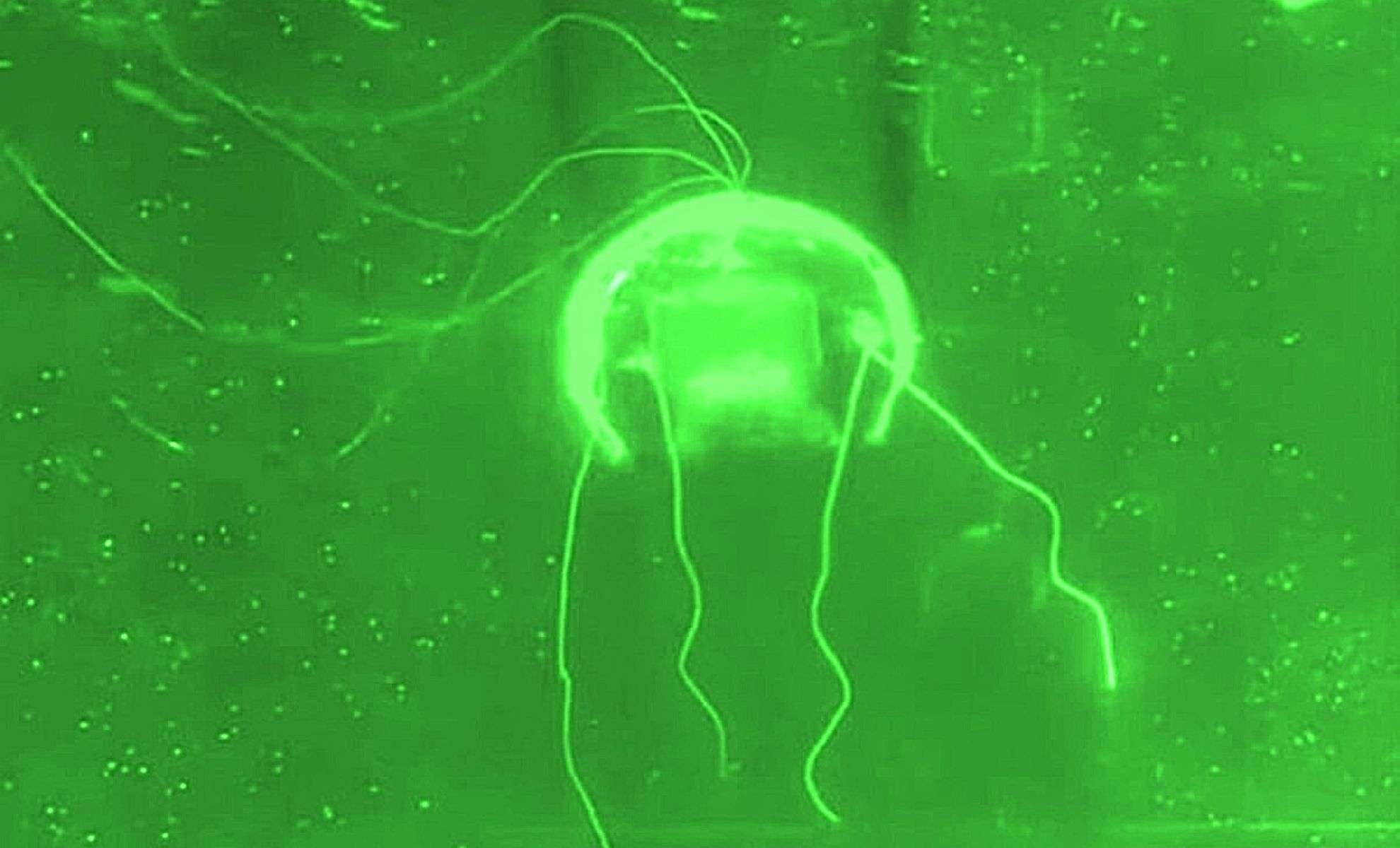china-unveils-jellyfish-like-robot-built-for-silent-surveillance-deep-beneath-the-oceans-surface-29116260d16c0ab9e643528771526741.jpg