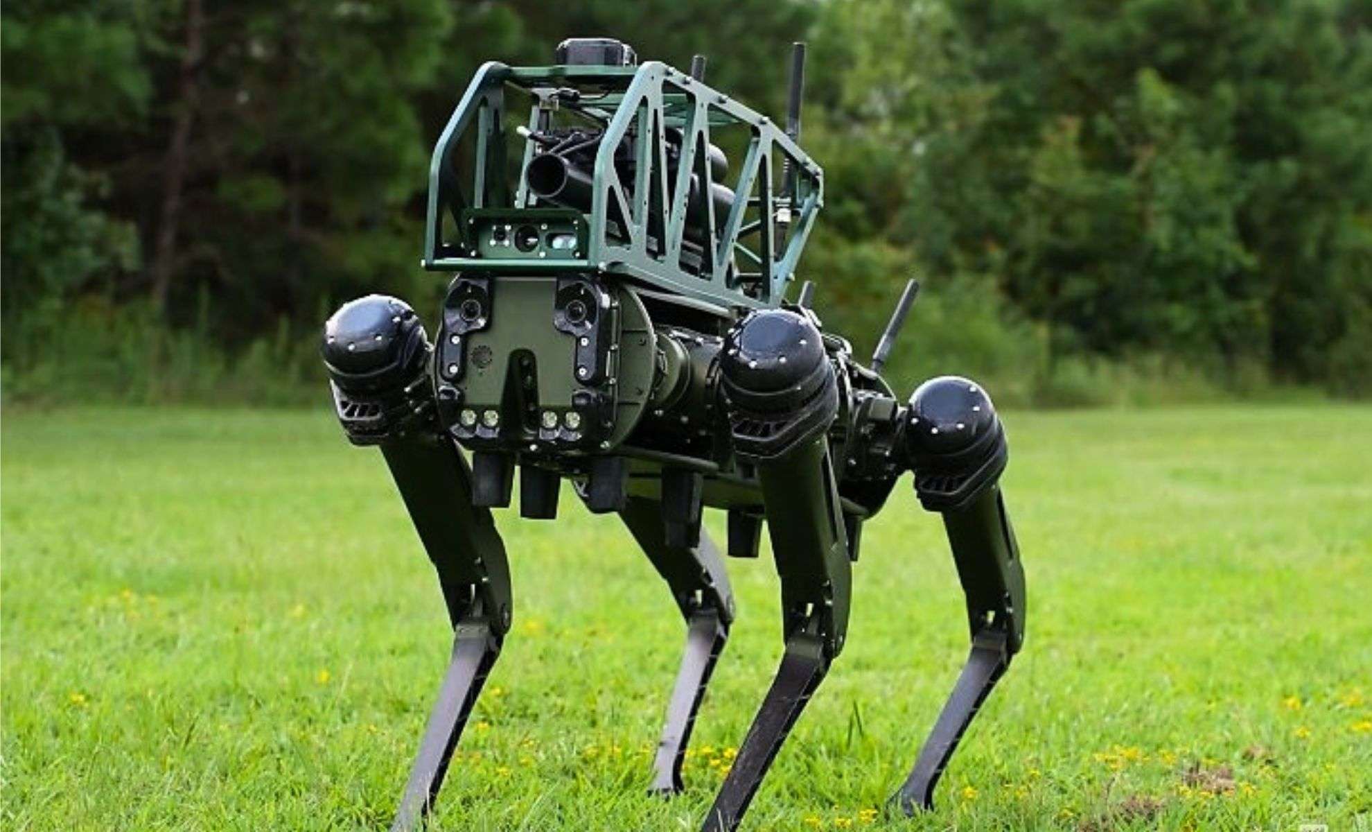 Introducing CODiAQ: The U.S.-Bound Combat Robot Dog Equipped with a Grenade Launcher 