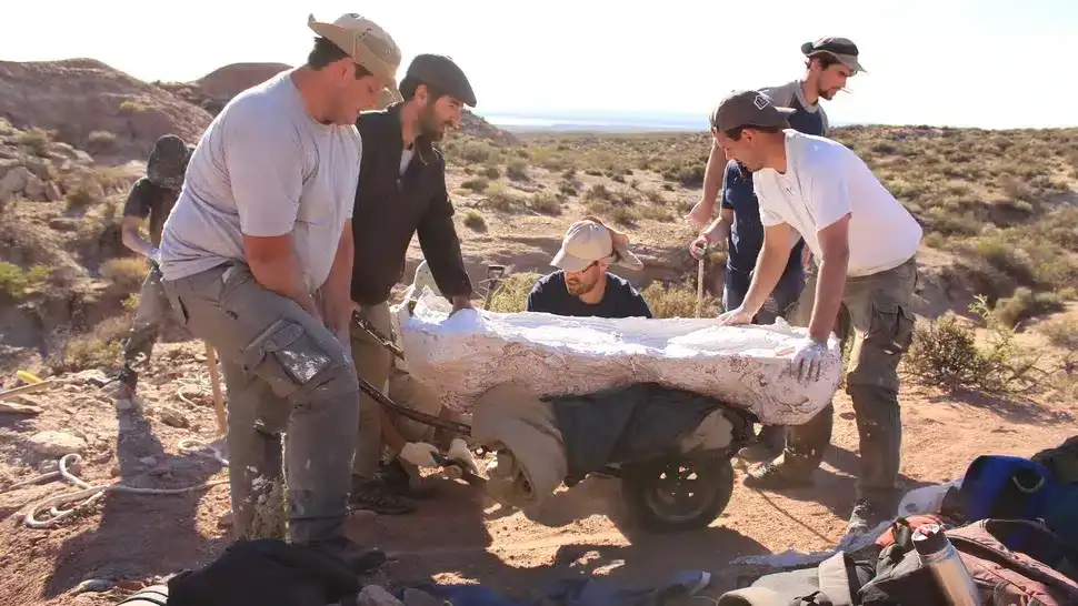 dinosaur-fossil-massive-cracked-the-road-ed0c340e2b92ba94cf43288d3bbfc8fc.webp