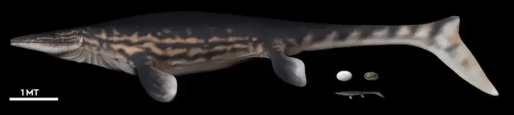 Artistic-depiction-of-an-adult-mosasaur-a-baby-and-an-egg-c01a8c7b7df7ab0747427e30b743a556.webp