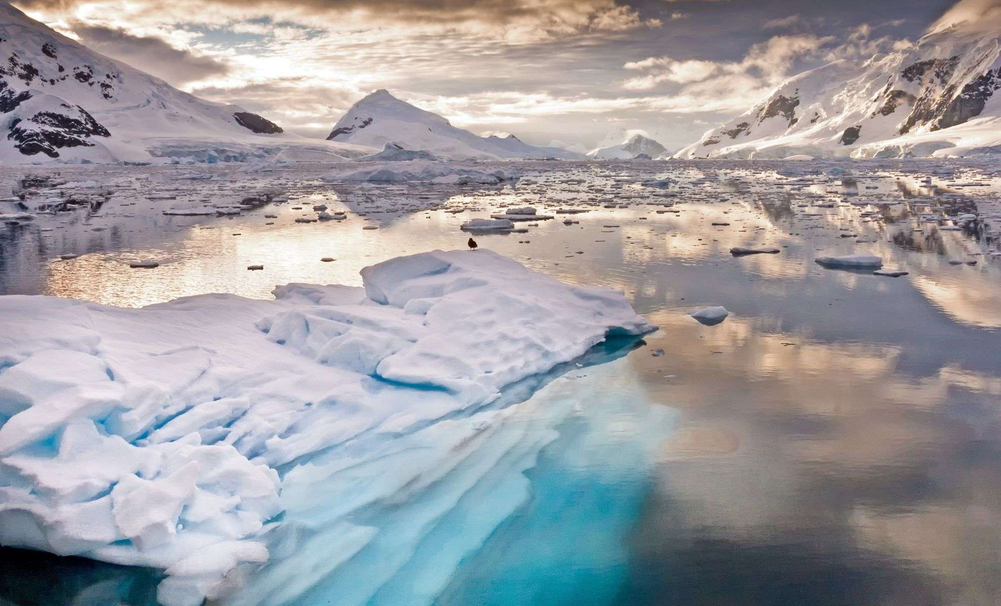 Antarctica Yields Its First-Ever Fossilized Egg from a Giant Marine Reptile 
