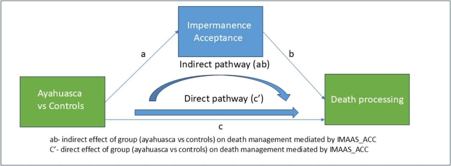 forget-the-afterlife-scientists-studied-ayahuasca-users-and-found-something-quietly-groundbreaking-about-death-42d076ff9d90fa608783595334ec786a.jpeg