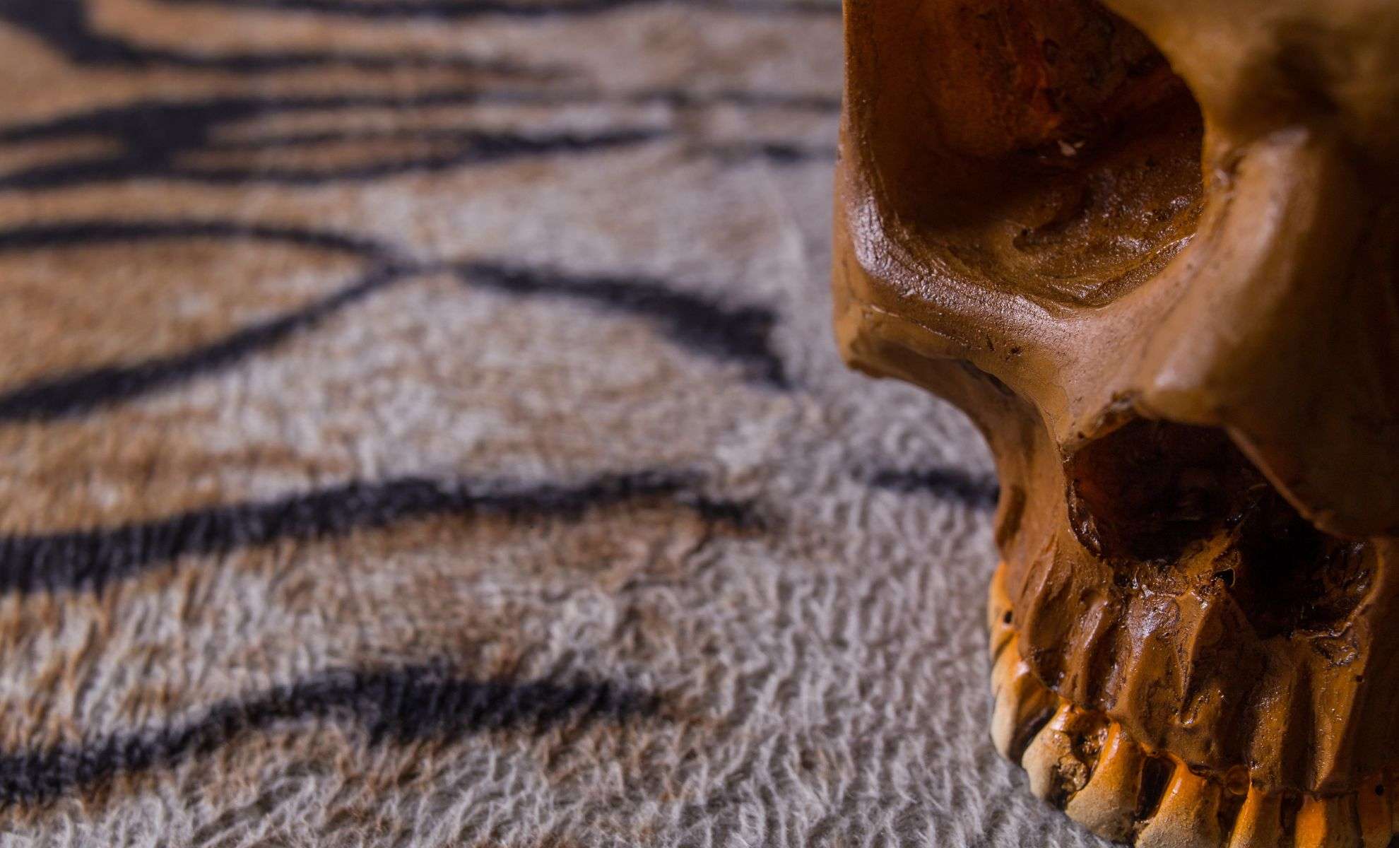 Ancient Teeth Unlock Clues to Why Humans Experience Extended Childhoods 