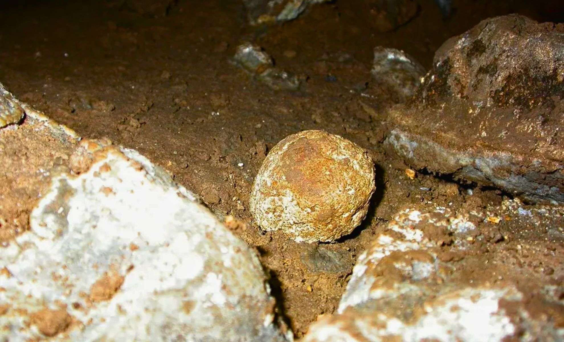 Ancient Human Hair Discovered in Hyena Fossilized Droppings 