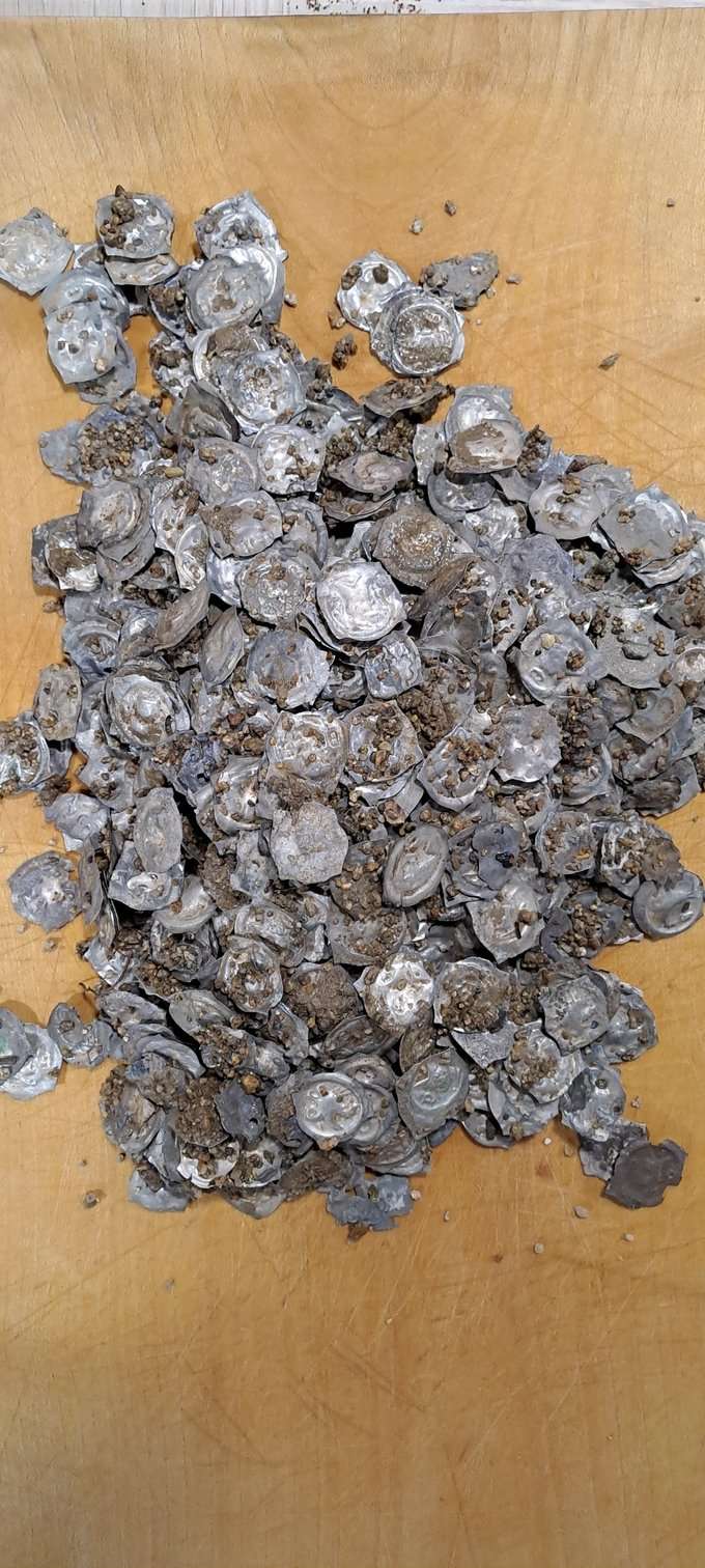 Medieval-Breisach-style-coins-unearthed-in-Glottertal-9c2880c5b959942b26d95181a37aaa57.jpg