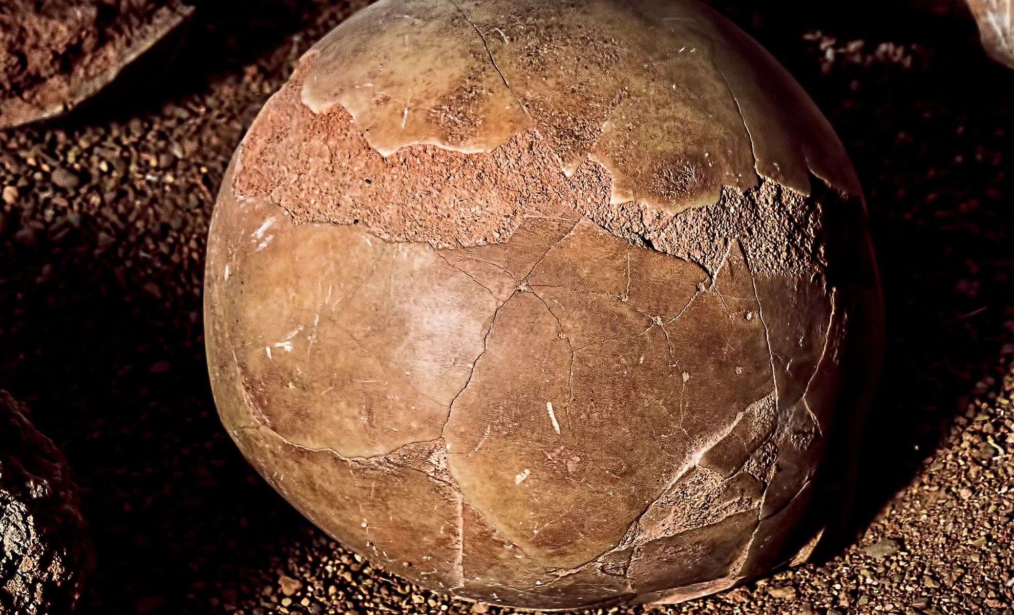 Remarkable Roman Egg Retains Liquid After 1,700 Years in England 