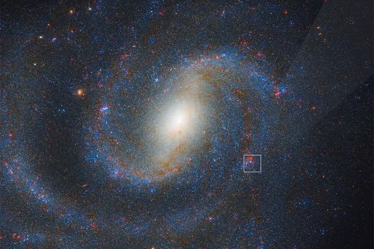 SN2025pht-NGC-1637-webb-78d77f7aed8443286fa654a6e93ab200.webp
