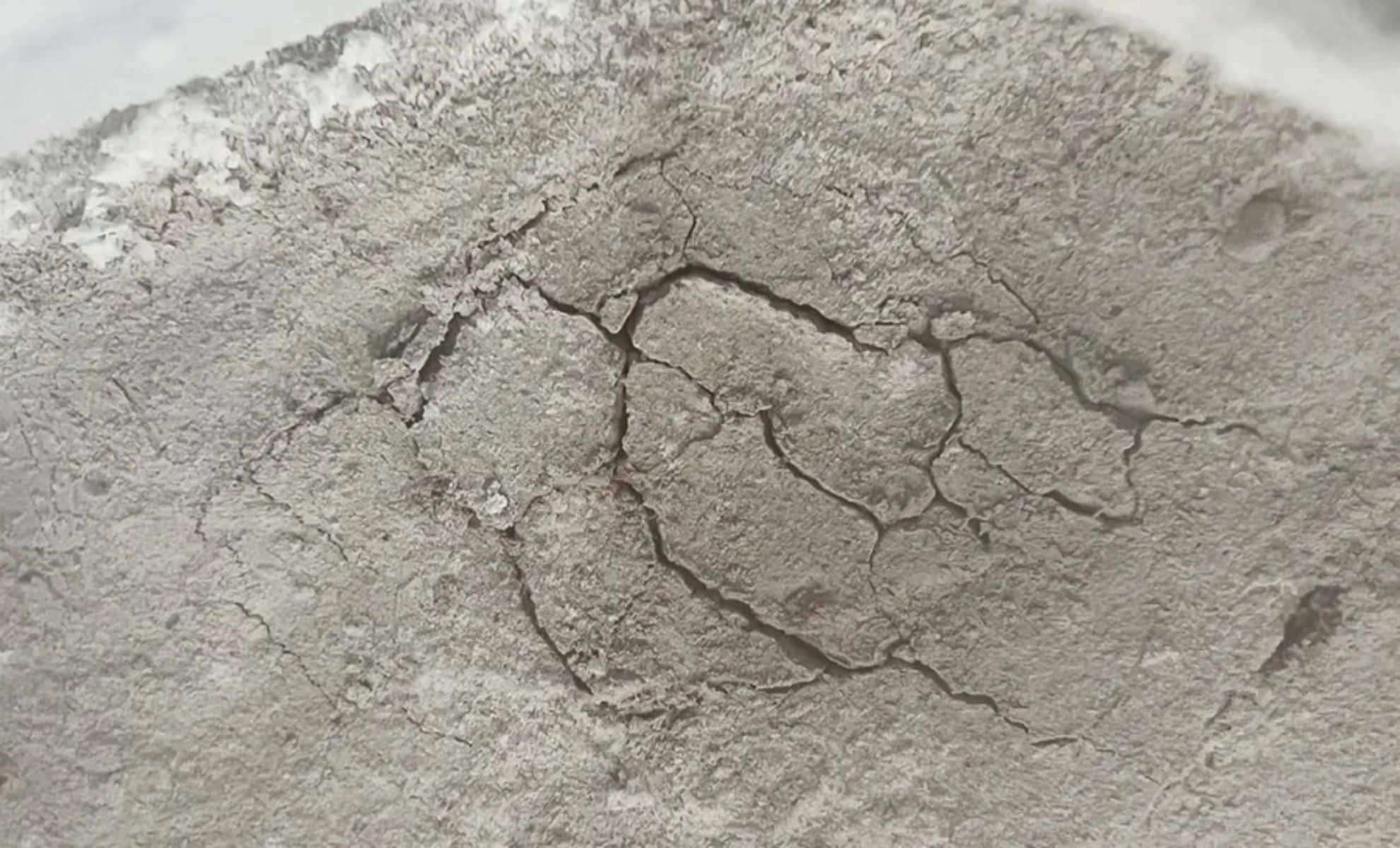 Perseverance Rover Uncovers an Unusual ‘Spider Egg’ Rock Formation on Mars 