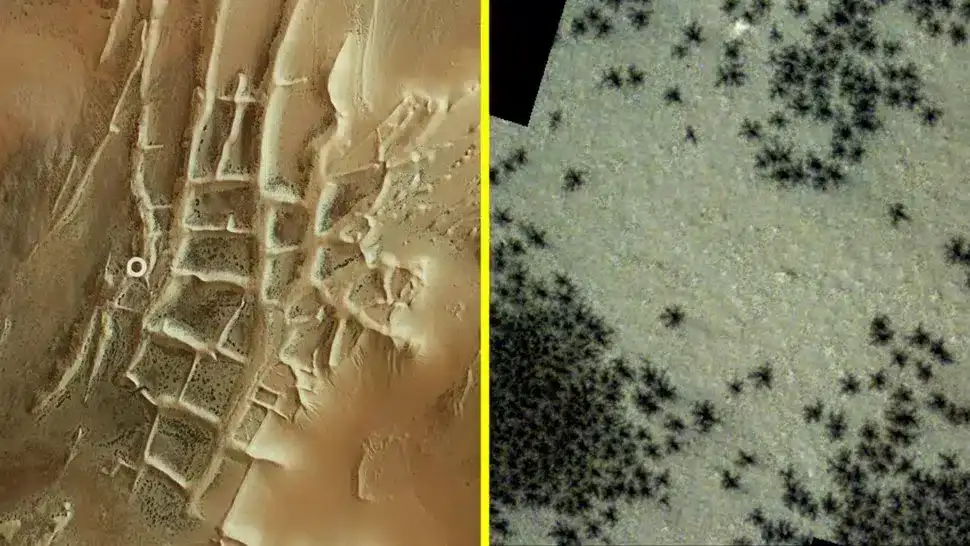 nasa-rover-discovers-spider-egg-mars-cf12346fd54c99b45225991af0d58722.webp