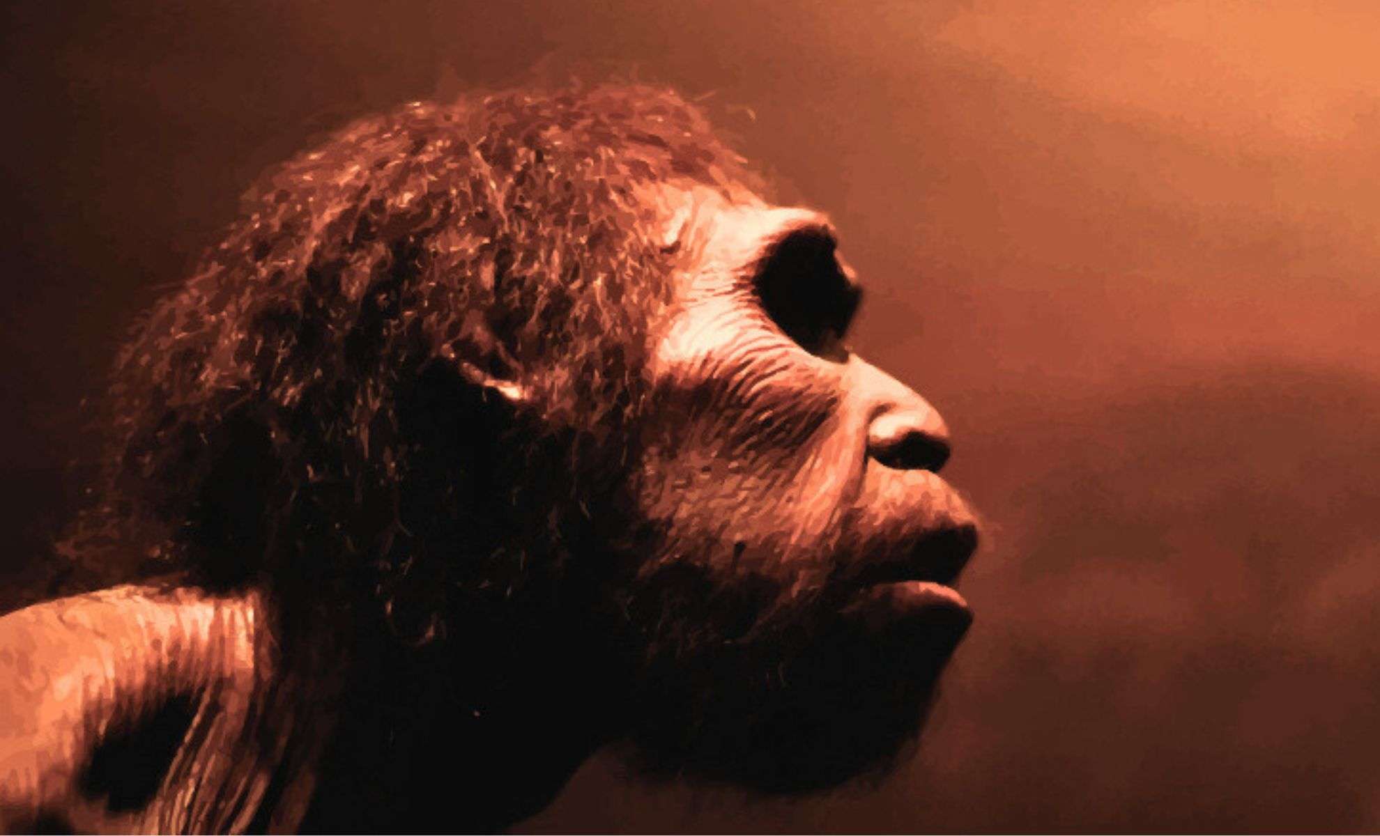 Newly Identified Early Human Ancestor Challenges Traditional Evolutionary Models 