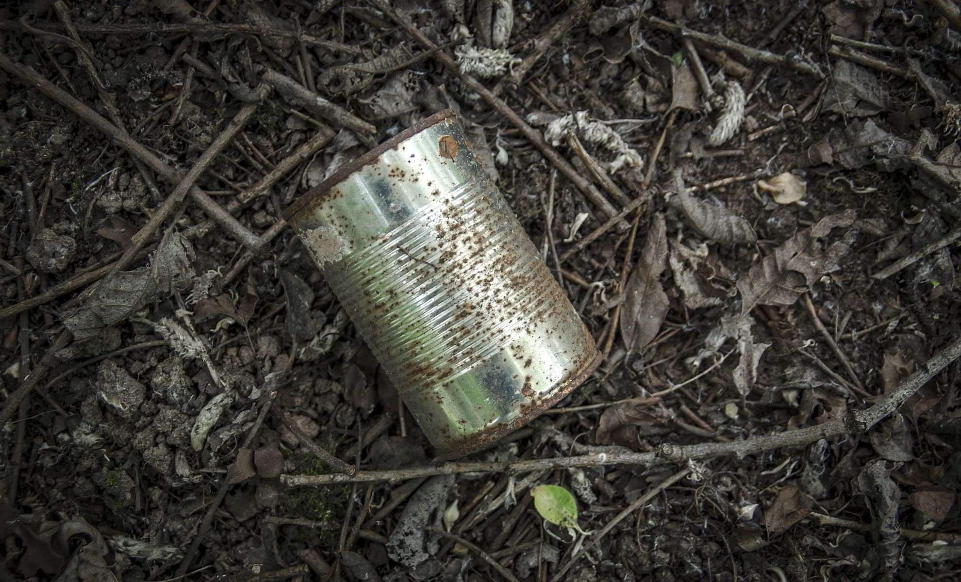What a 50-Year-Old Can of Salmon Revealed About Ocean Life 