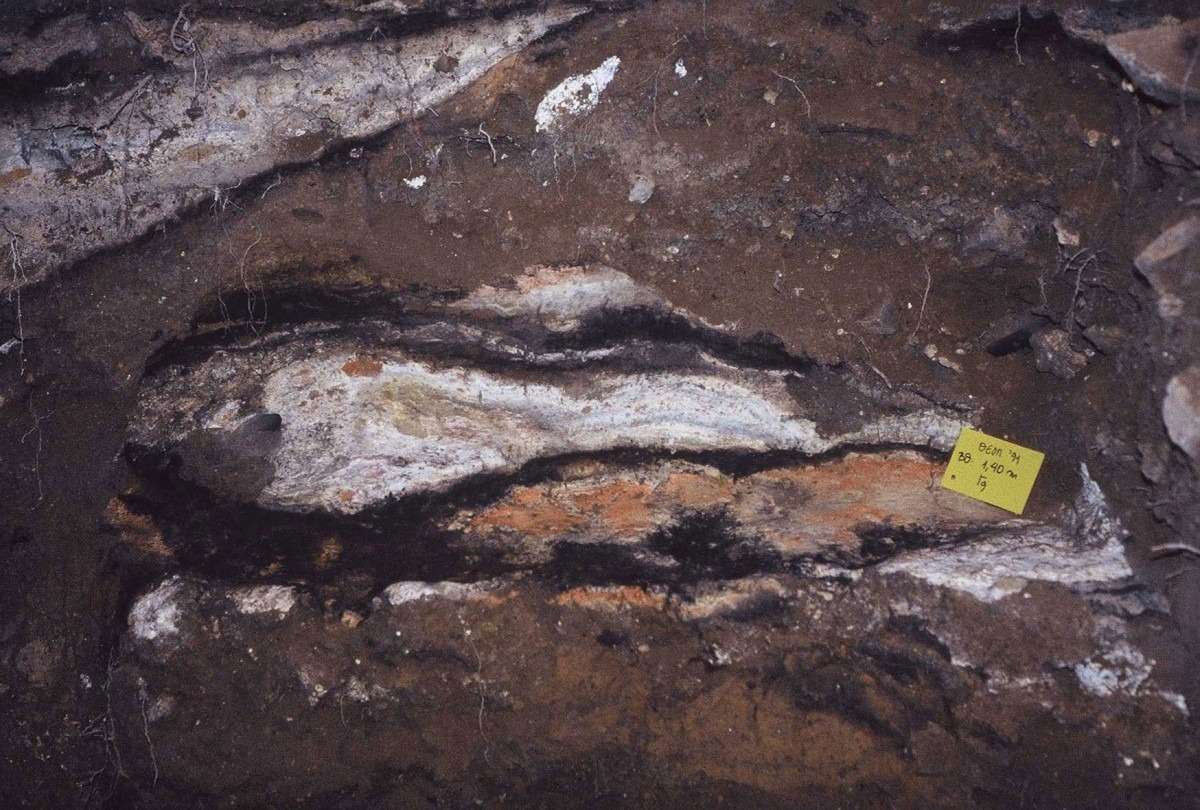 mesolithic-fires-on-top-of-yellow-fawn-mesolithic-embankment-and-beneath-neolithic-embankment-f31cf5b65a132ce8b21c0c4d9f9794e3.jpeg