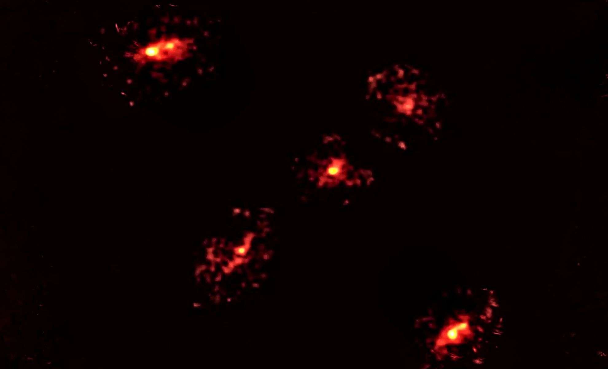 Unveiling a Hidden Dark Matter Halo Through an Unusual Einstein Cross 