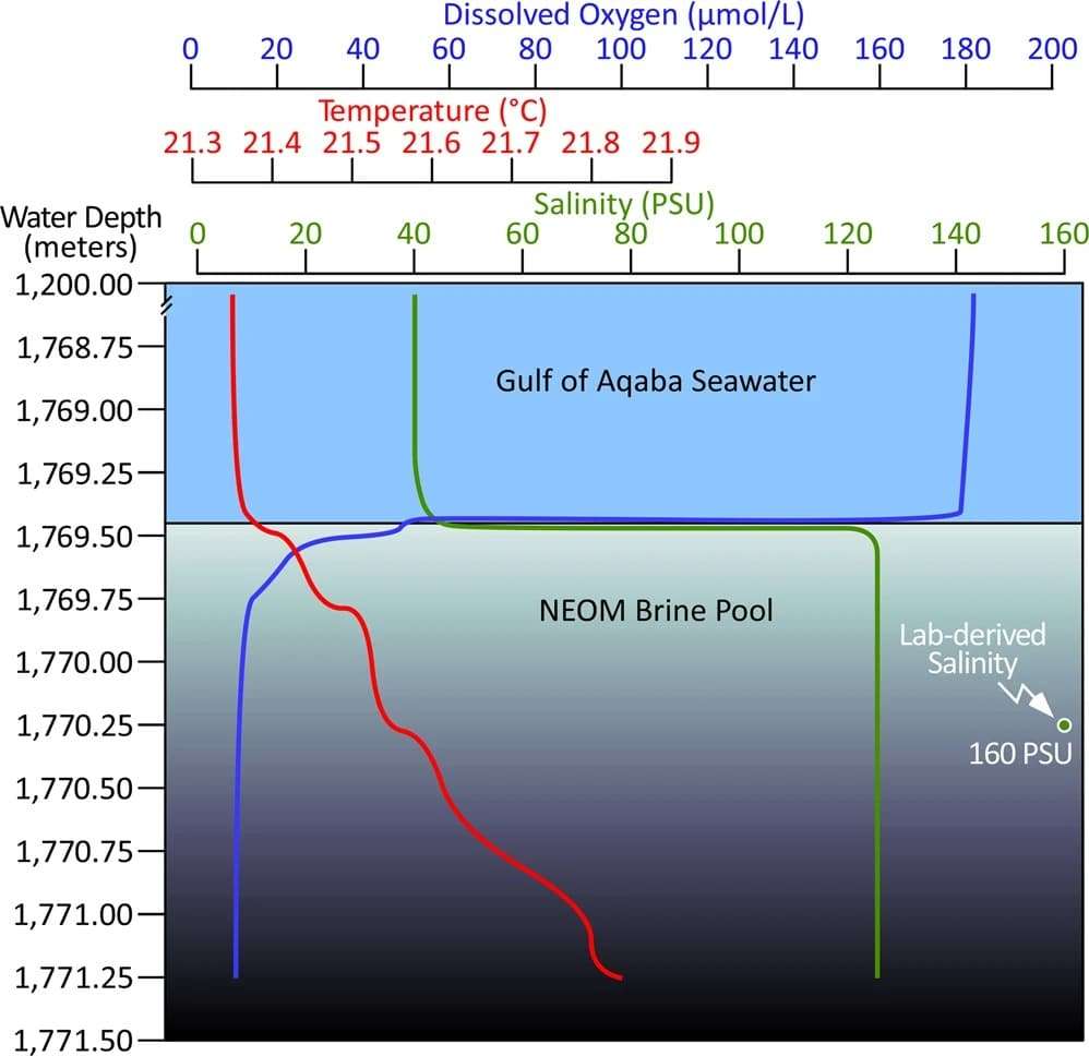 Dissolved-oxygen-temperature-and-salinity-profiles-into-the-main-NEOM-Brine-Poo-712305563d2f86d57c3dbd3580412727.jpeg