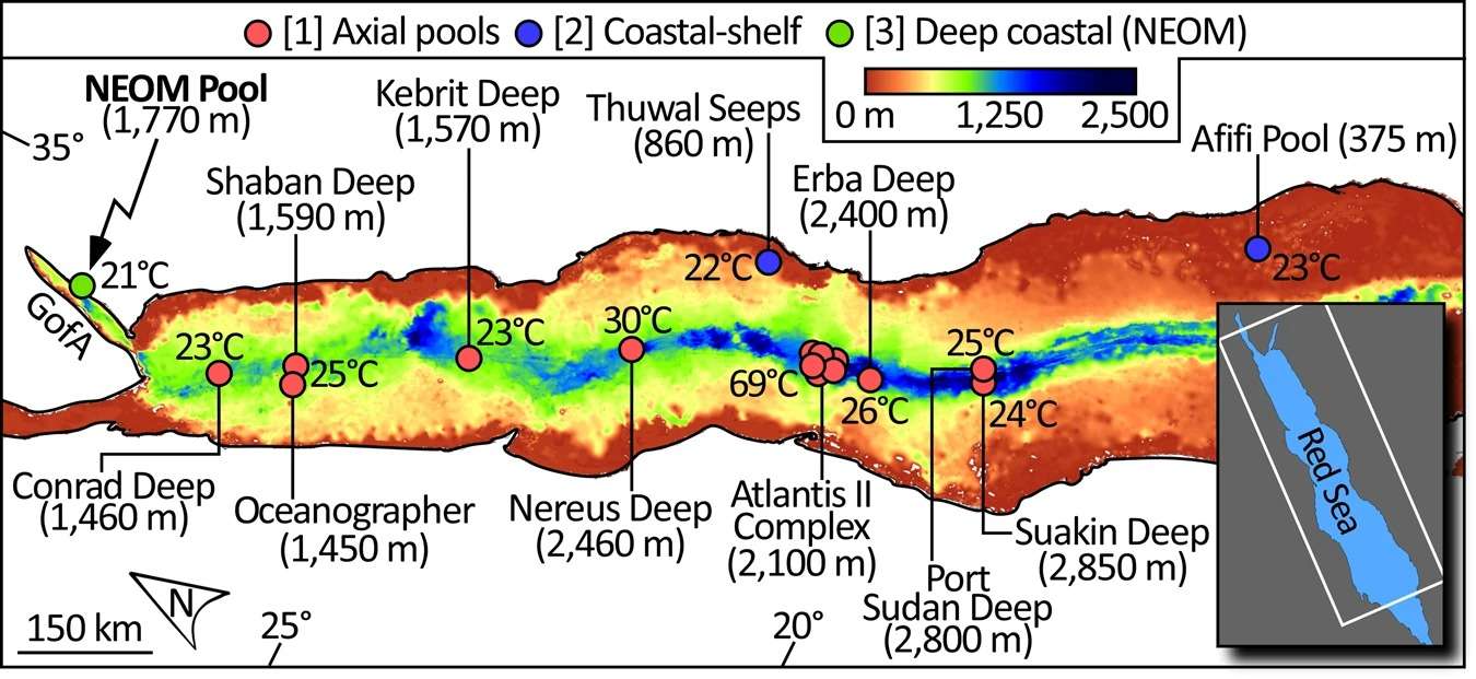 Location-and-temperatures-of-the-Red-Sea-brine-pools-42b64028b209dc07e19704a524e5f58b.jpeg
