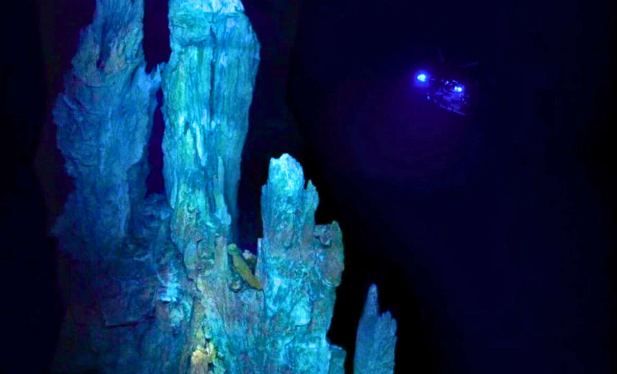 Researchers Unveil a Mysterious Deep-Sea Hydrothermal Ecosystem Unlike Any Other on Earth 