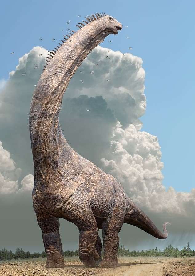 Alamosaurus-wouldnt-have-been-much-smaller-than-a-blue-whale-c7516429e624b1517822fe003f05416a.jpeg