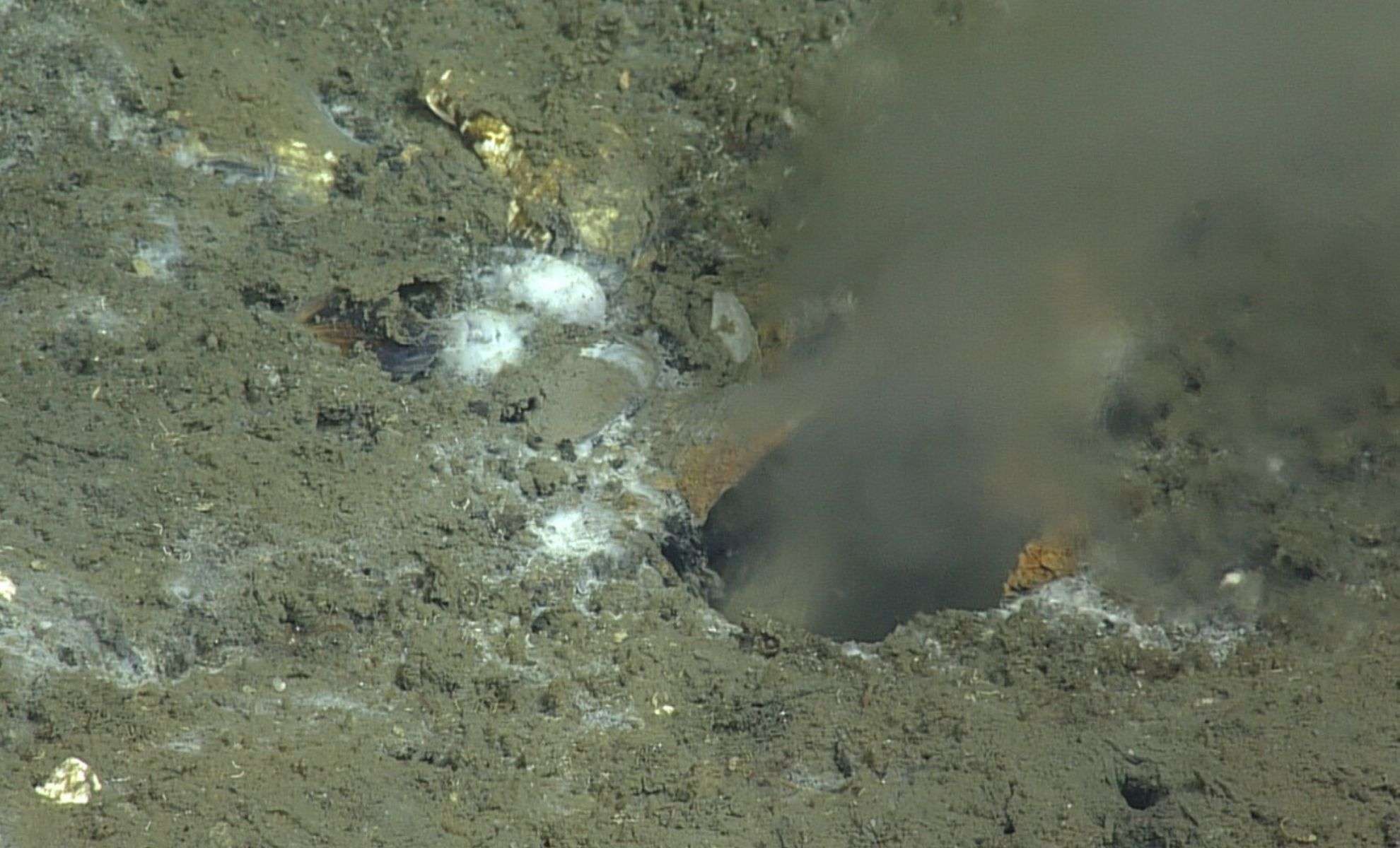 Scientists Uncover an Enigmatic Freshwater Spring Beneath the Ocean Floor 