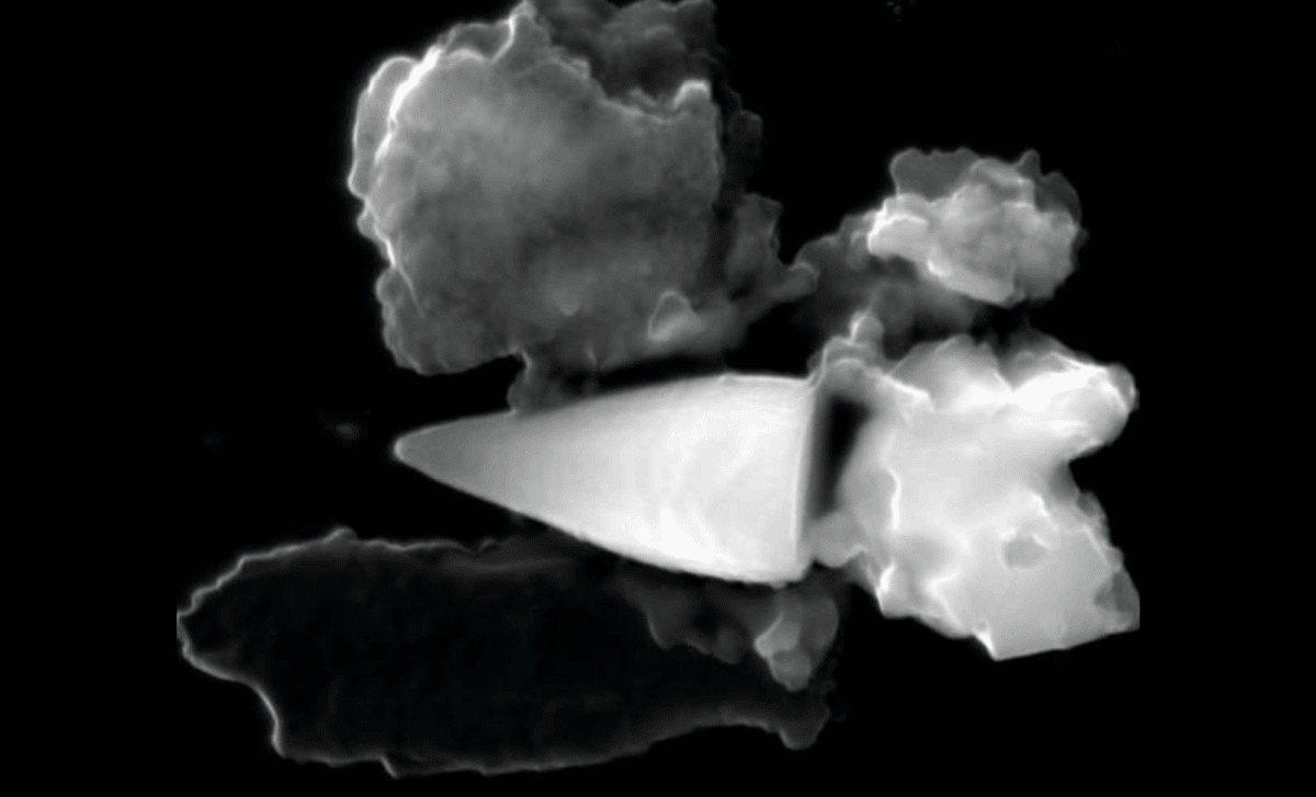 Ancient Marine Fossils Reveal Natural Magnetic Navigation System in Ocean Life 