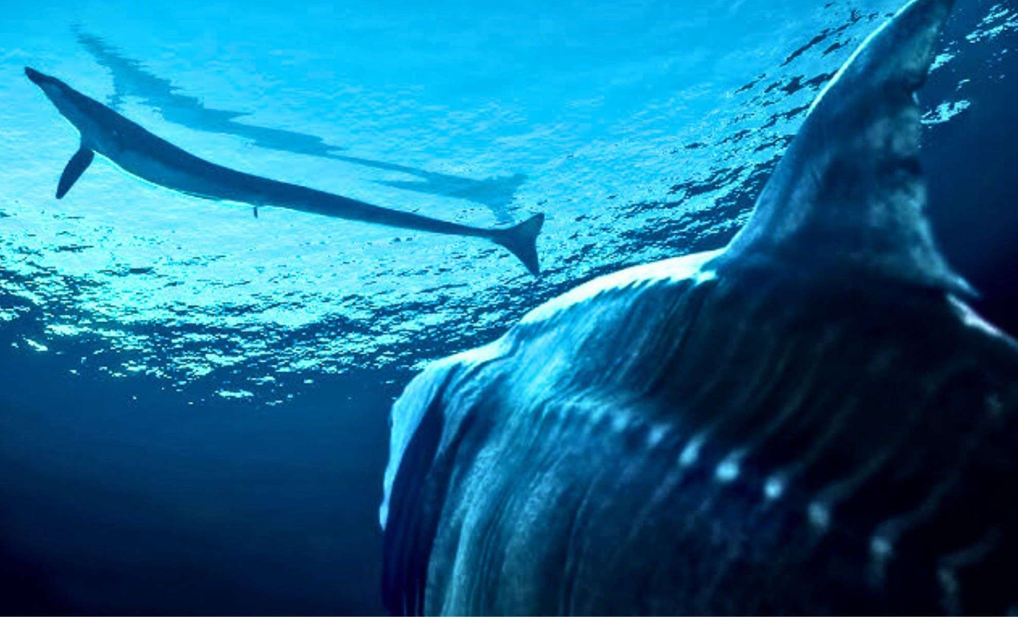 Jurassic Marine Reptile Species with Unique Overbite and Reinforced Ribs Unearthed Among Ancient Cephalopods 