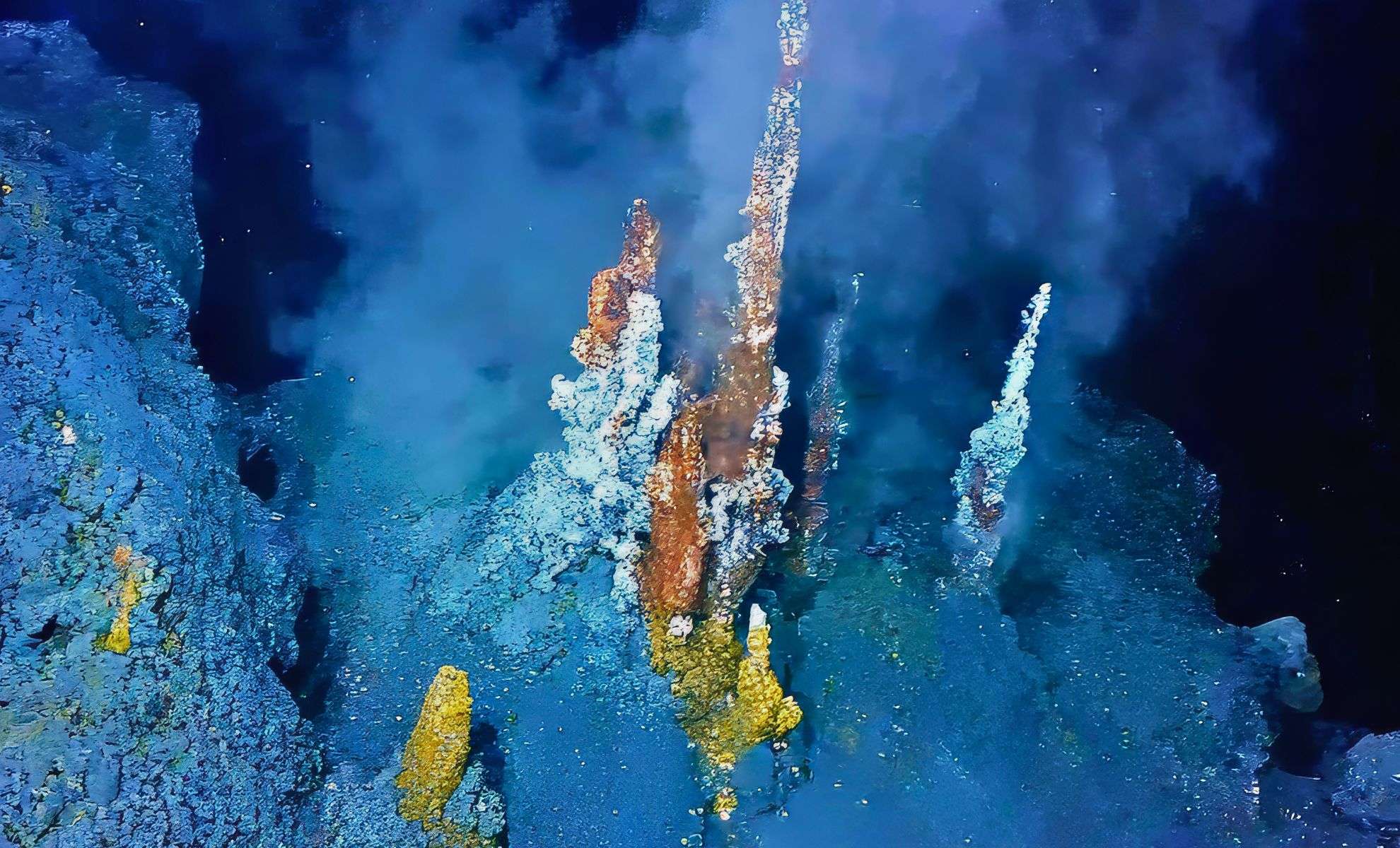 Discovery of Millions of Luminous Eggs Near a Submarine Volcano Off Canada’s Coast 