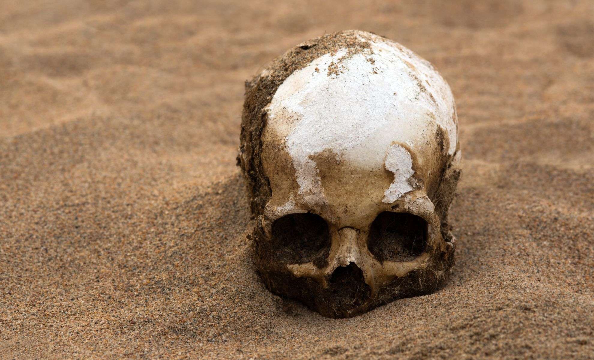 Ancient Skull in China Suggests Modern Human Ancestors Existed a Million Years Ago 