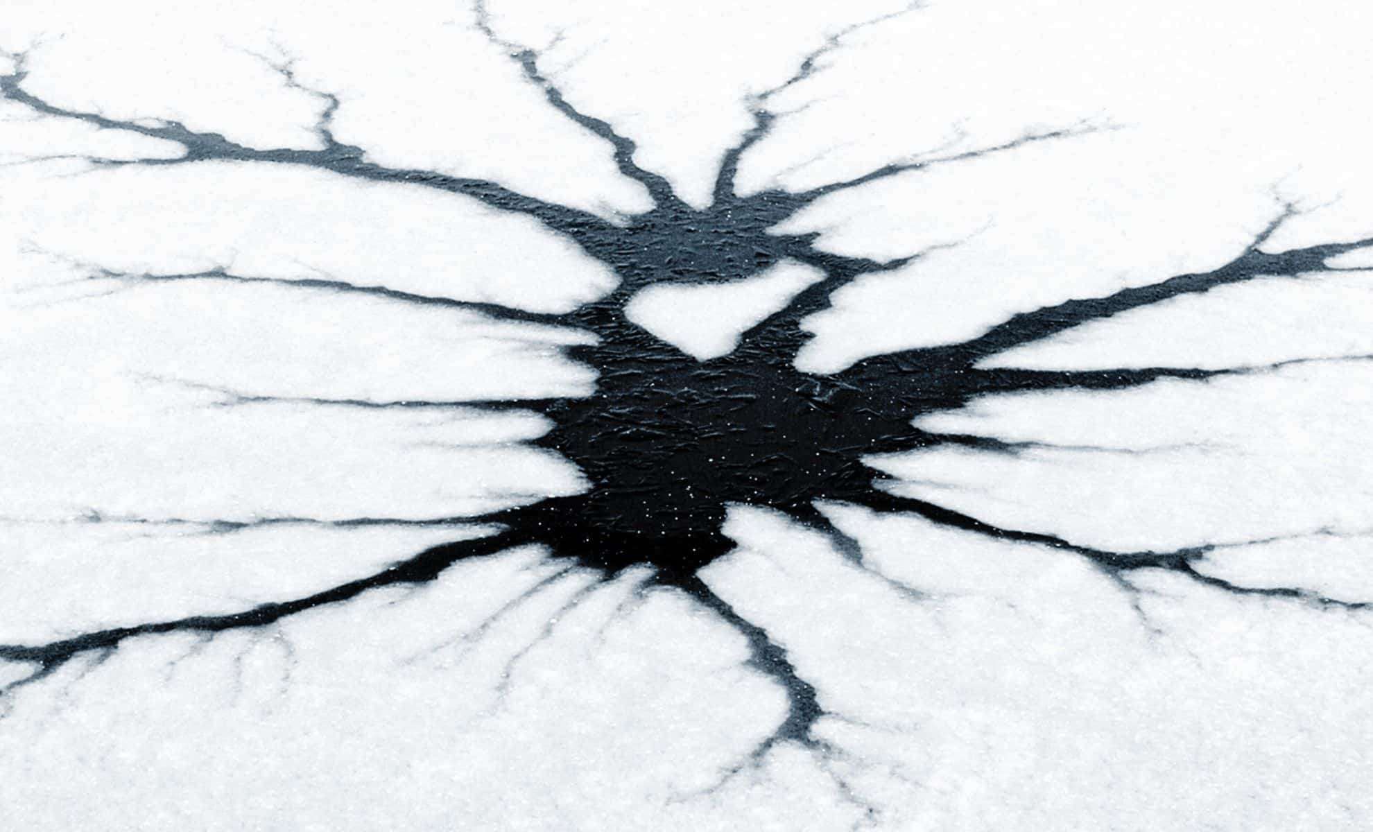 Researchers Uncover Microbial Life Hidden Under Antarctica’s Ice-Covered Lake 
