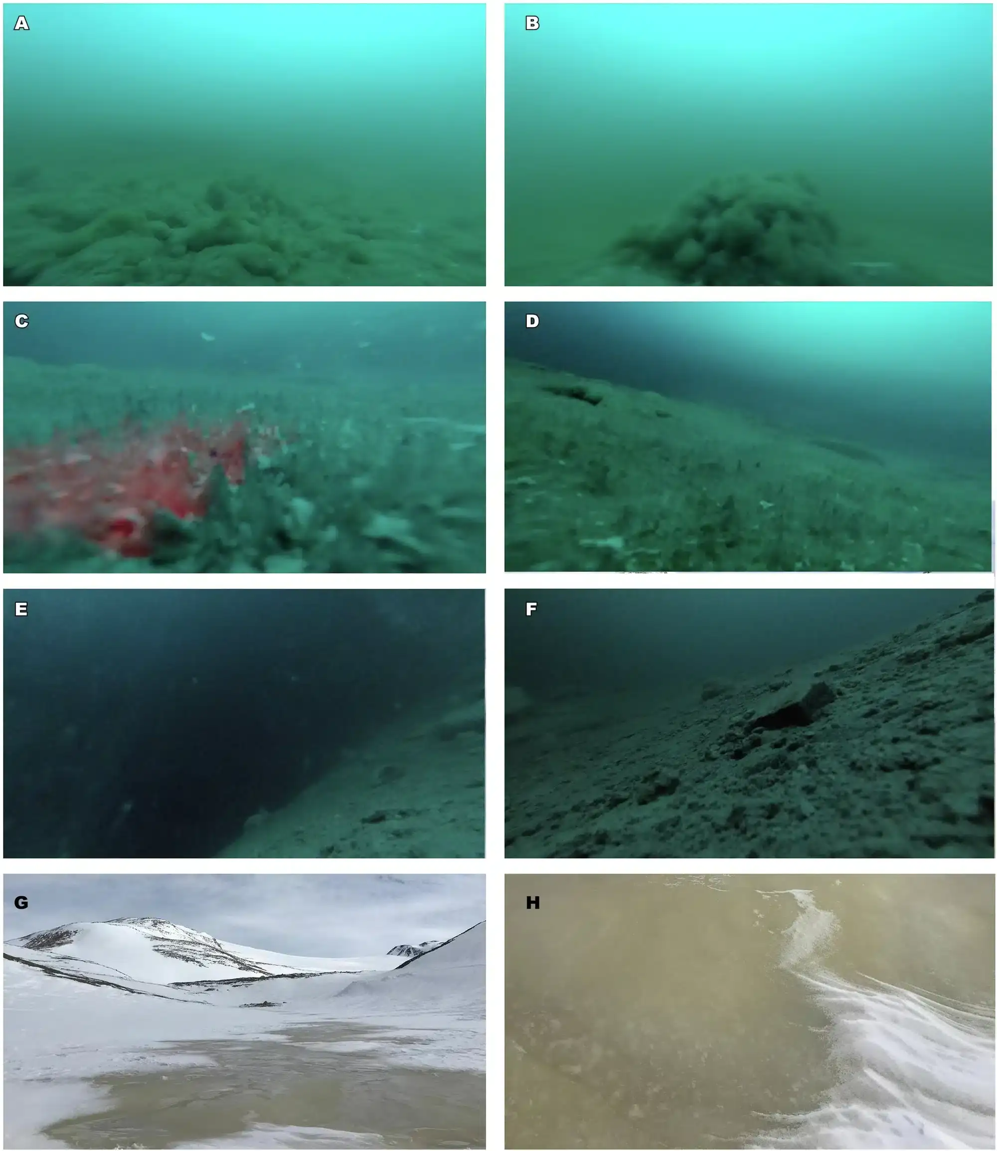 Underwater-and-landscape-photography-of-Lake-Enigma-and-its-environment-5fba9f113960a1c3bdb436c3fae8c4a8.webp