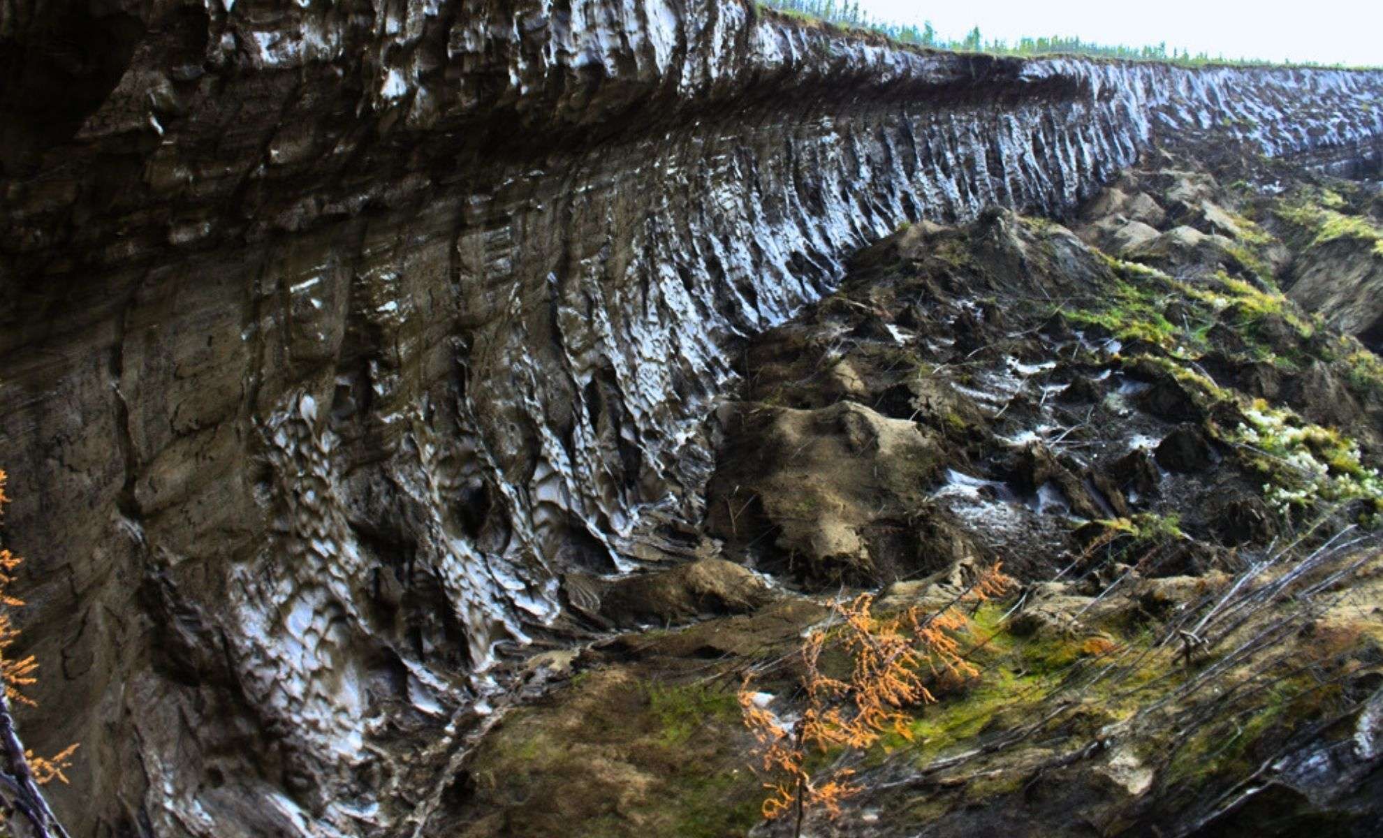 Reviving Microbes Frozen for 40,000 Years Unveils Alarming Climate Feedbacks 