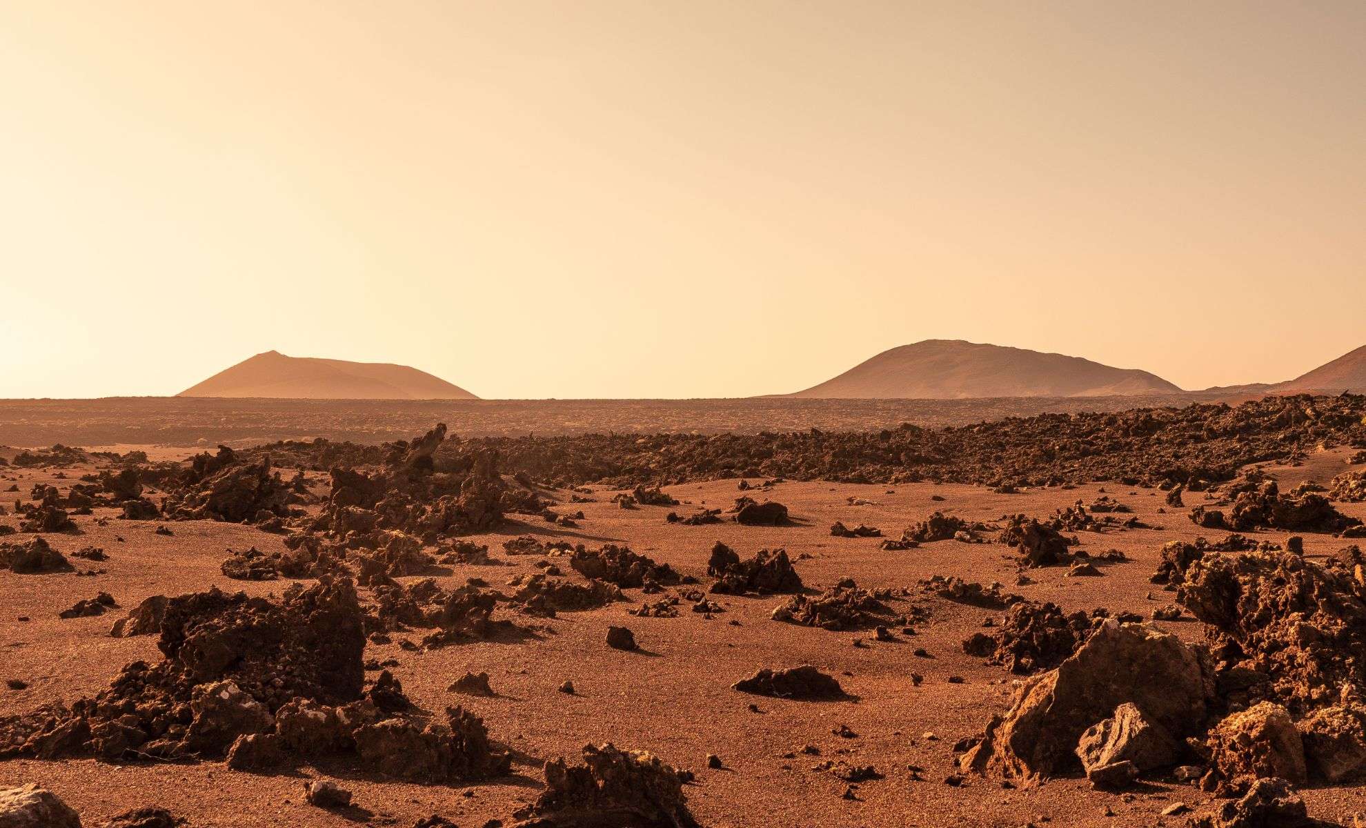 Could Common Baker’s Yeast Endure Martian Conditions? New Research Says Yes 