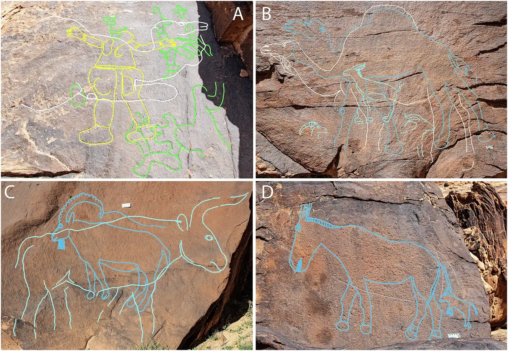Petroglyph-panels-e48345ed200cbd748a363c789bcebf83.webp