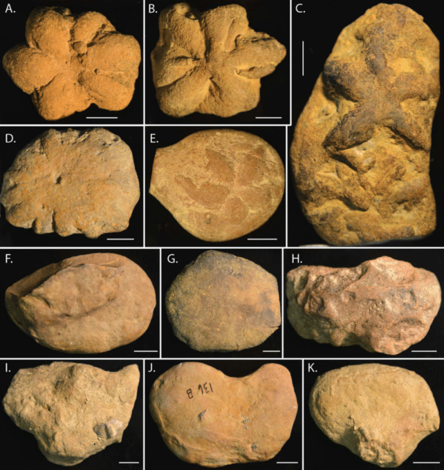 Fossil-like-objects-similar-to-Brooksella-identified-in-southwestern-US-deposits-53a57aa6a8b6110640e355e43a4983f1.png