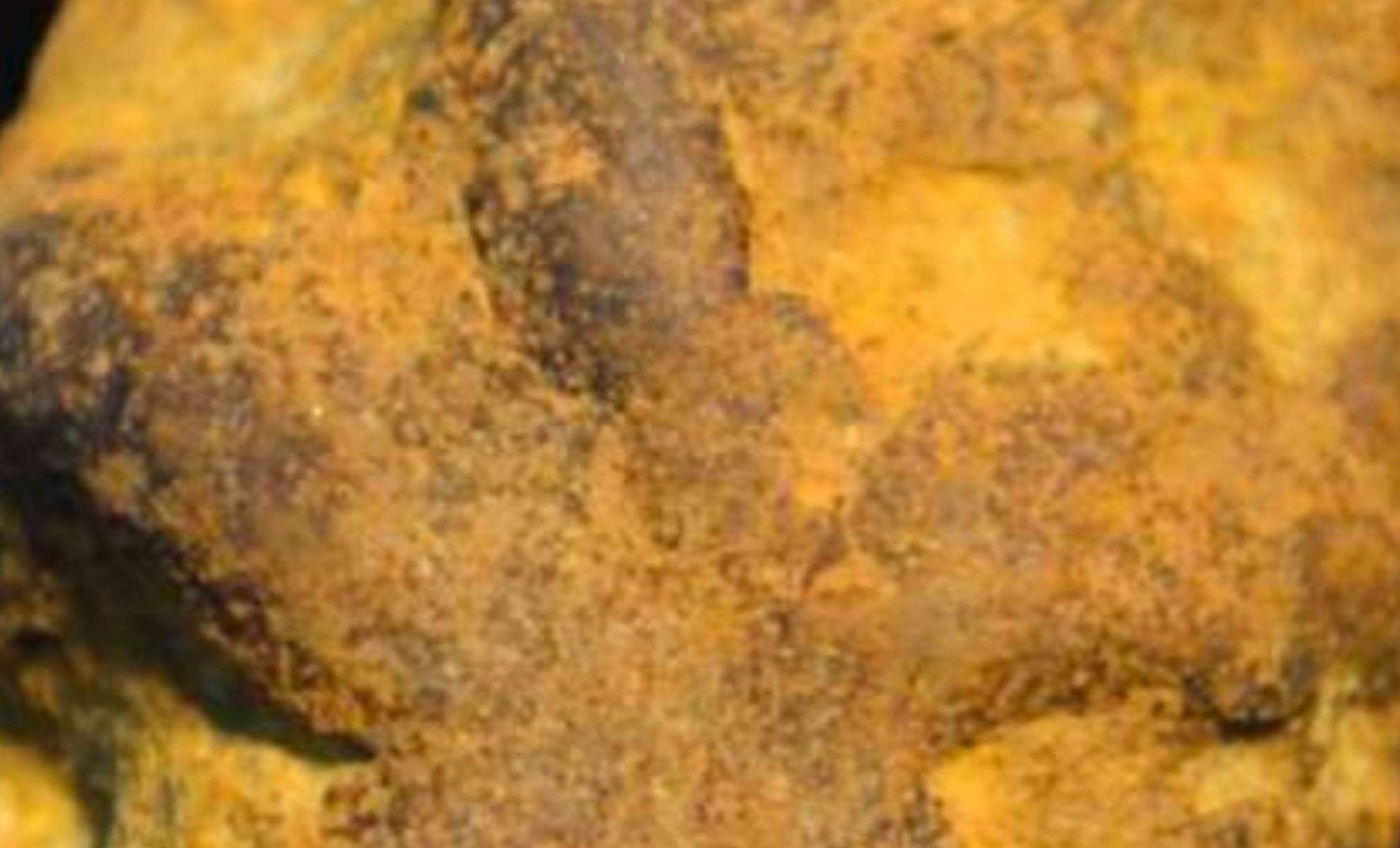 A 127-Year-Old Fossil Mystery May Actually Be a Geological Oddity 
