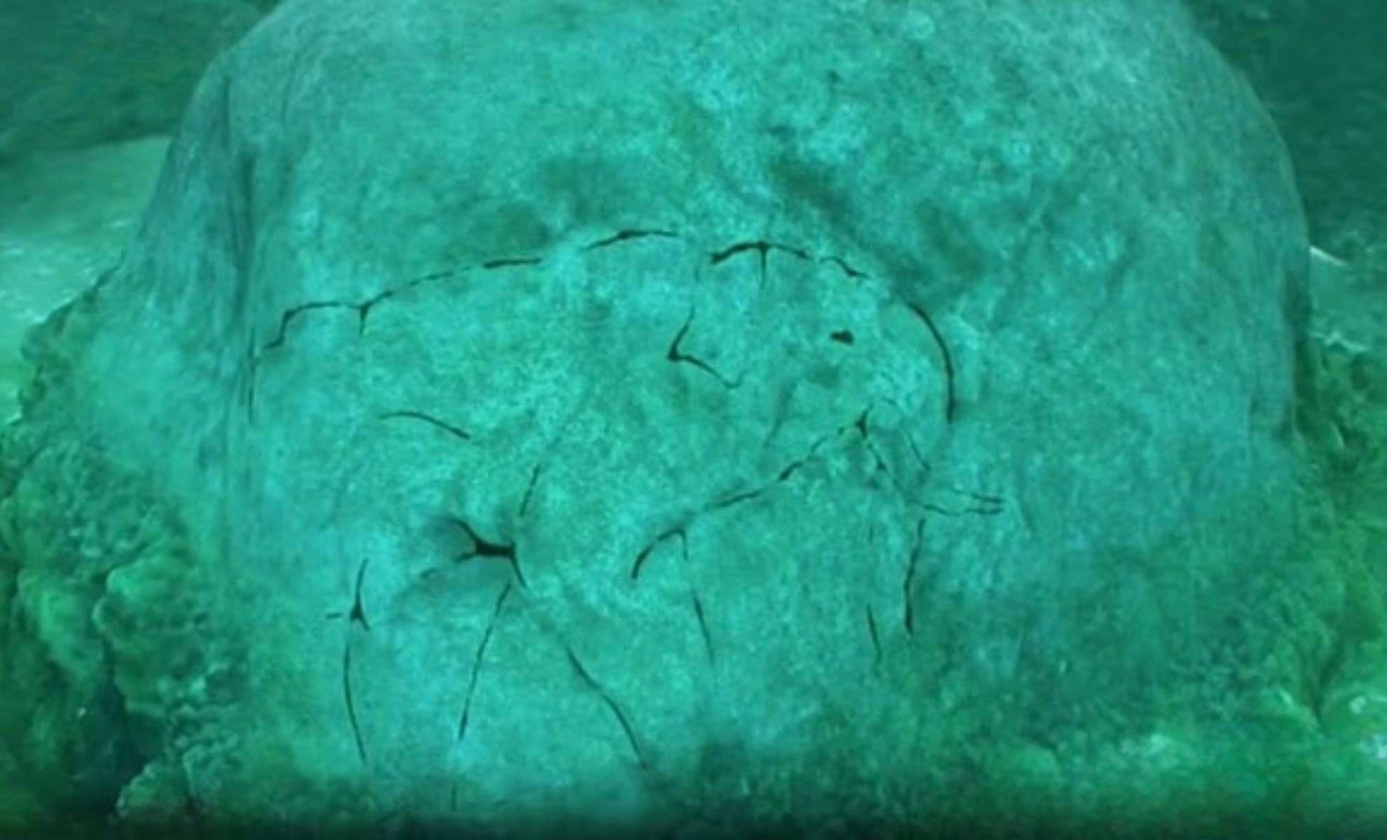 A-prehistoric-mastodon-carving-was-found-on-a-boulder-by-archaeologists-038966b7b9dfcabef539163d8d2076a6.jpg