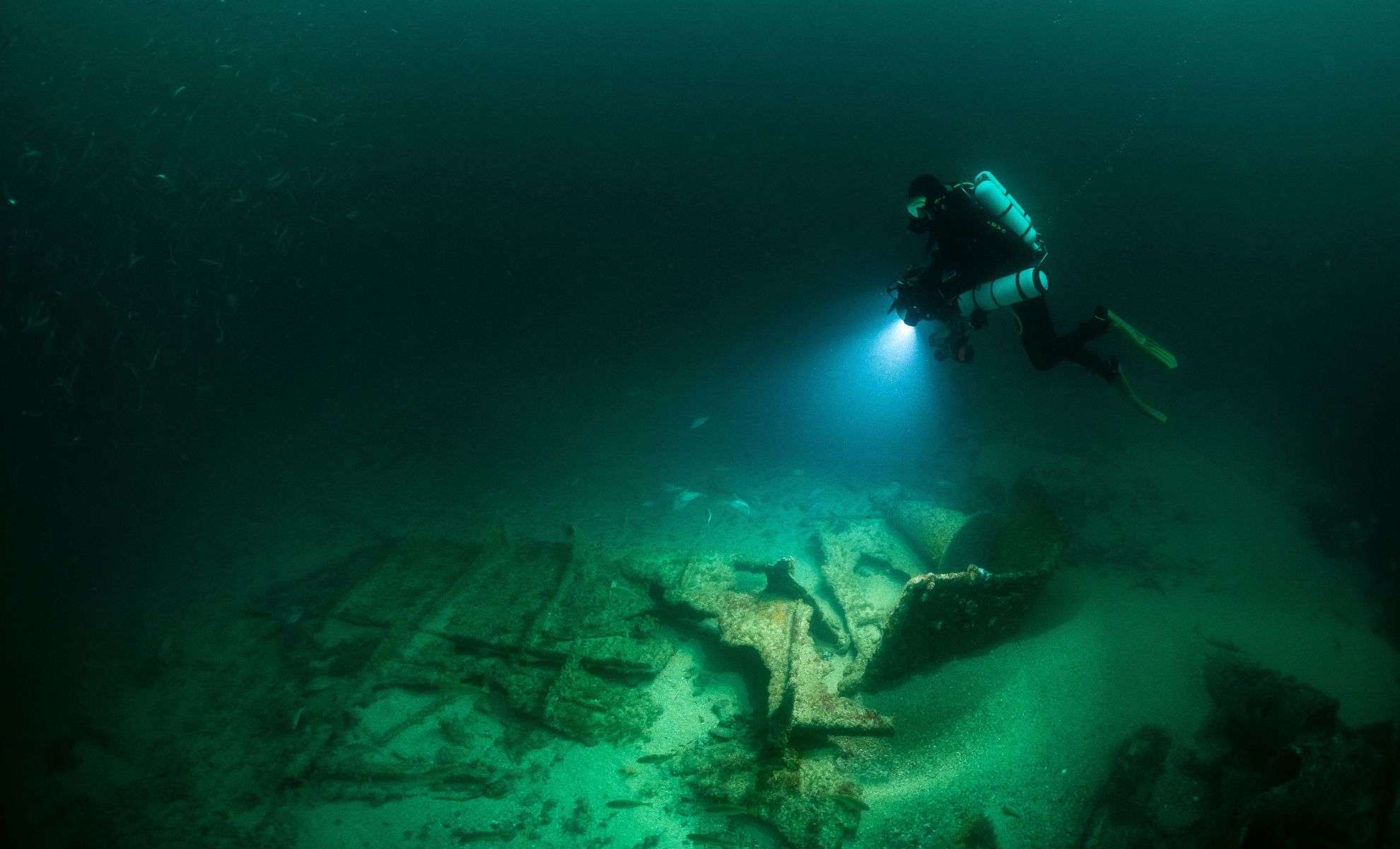 Divers Uncover Ancient Underwater Monument with Rare Mastodon Carving 