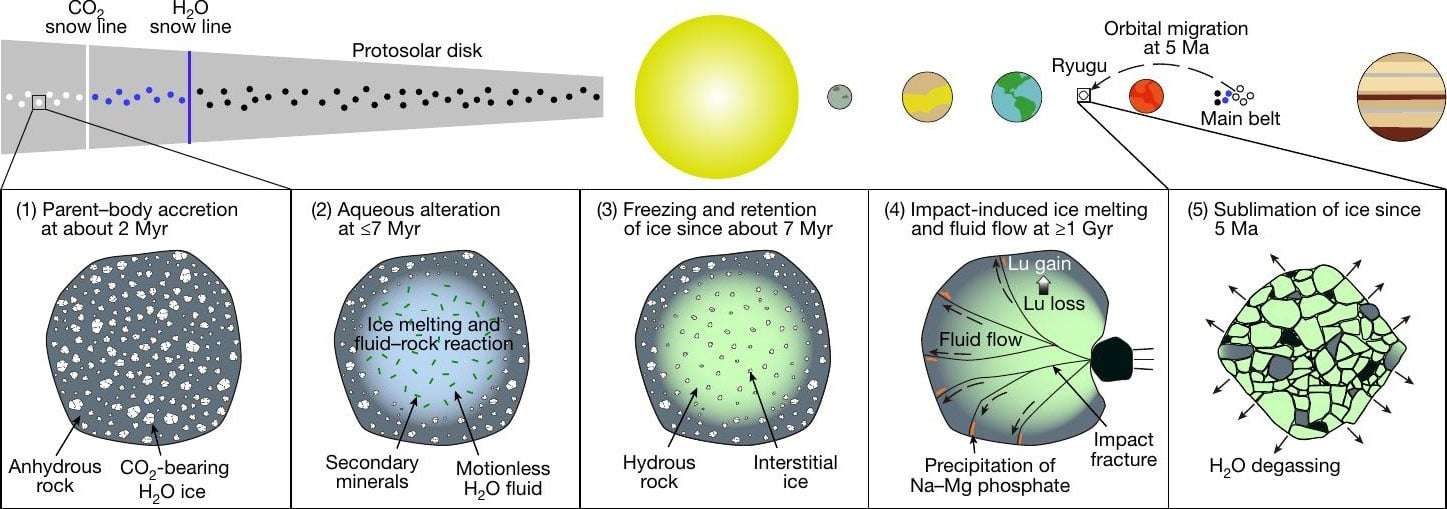 The-Evolution-of-Ryugu-Graphic-c86ee398ddb059ed264806619f09cb5b.jpg