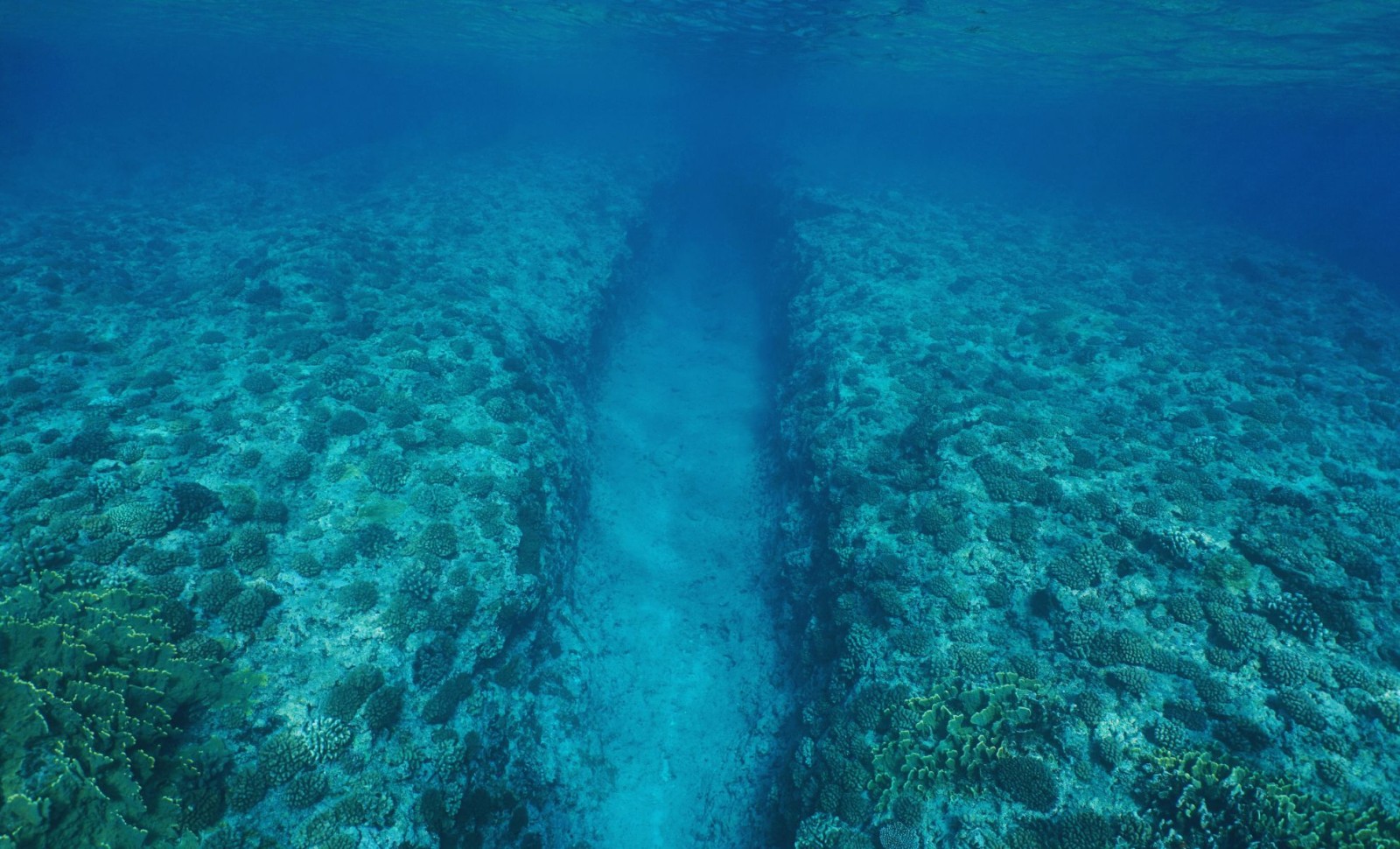 Scientists Observe Crumbling of Earth’s Crust Beneath the Pacific Ocean Off Vancouver Island 