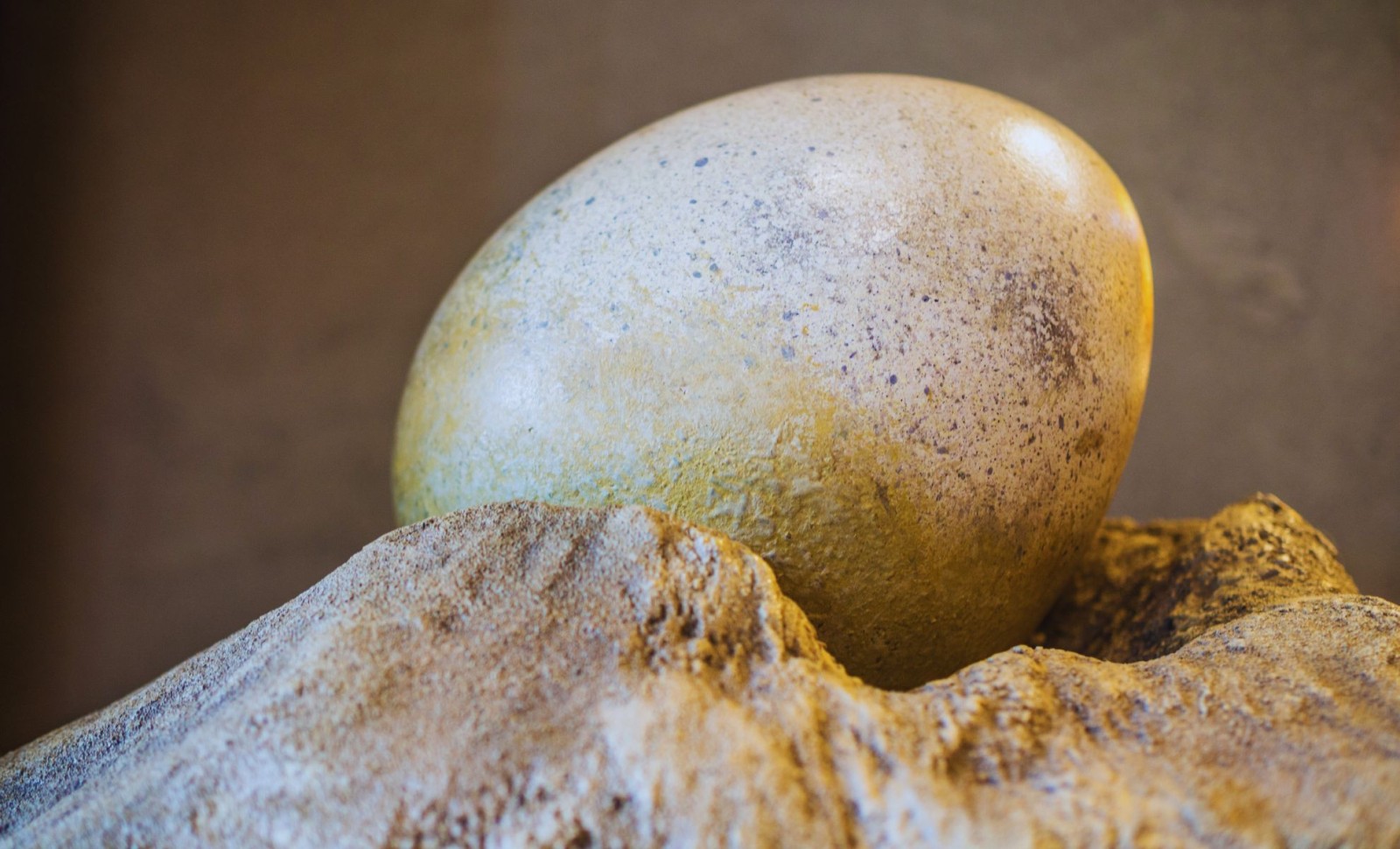 Breakthrough in Dinosaur Egg Research Reveals Surprising Reproductive Traits 