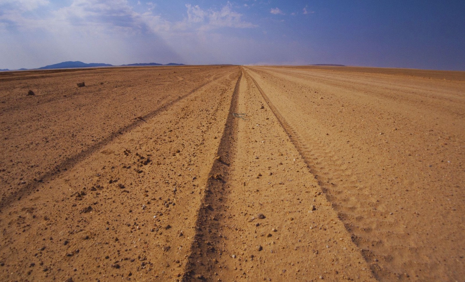 Ancient Wooden Sled Tracks Unearthed in New Mexico Shed Light on Early Human Transport 