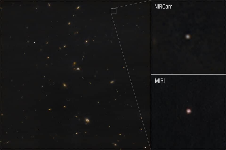 f7434825378846c50b5c60be329d641b.jpg