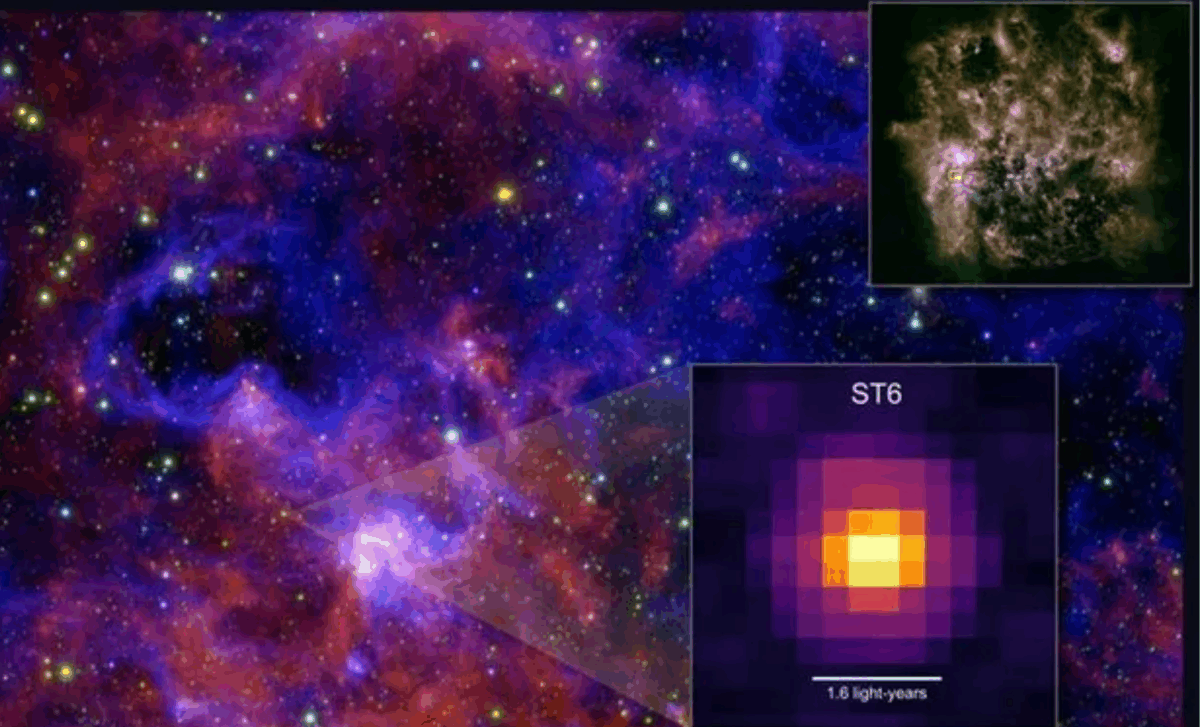 JWST Uncovers Organic Molecules Essential for Life in a Remote Galaxy 